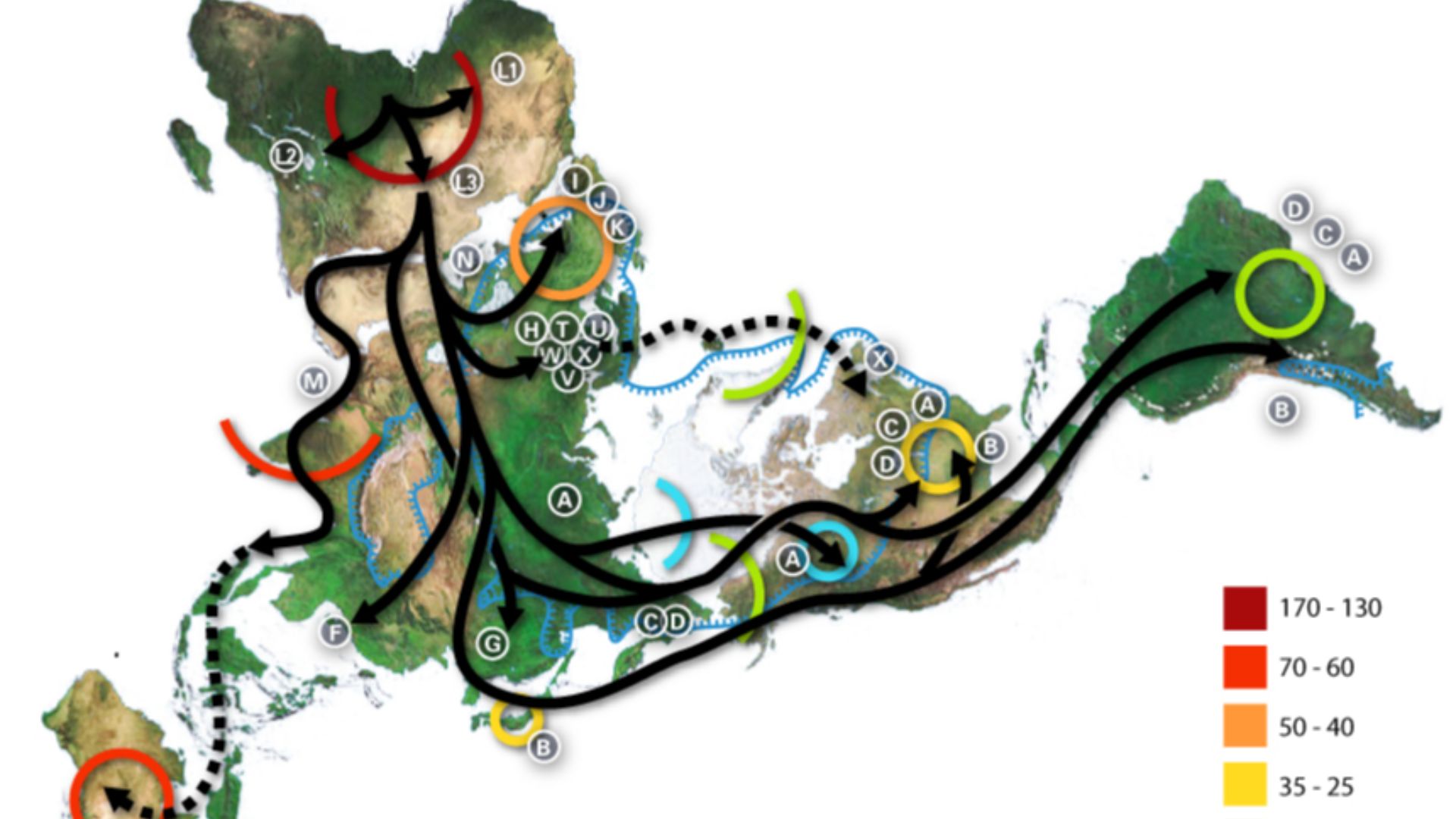 File:World map of prehistoric human migrations.jpg