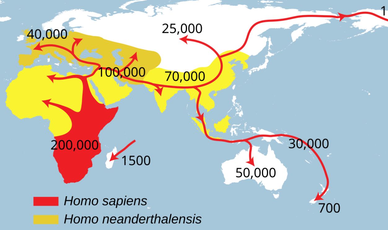 Spreading of Homo sapiens 