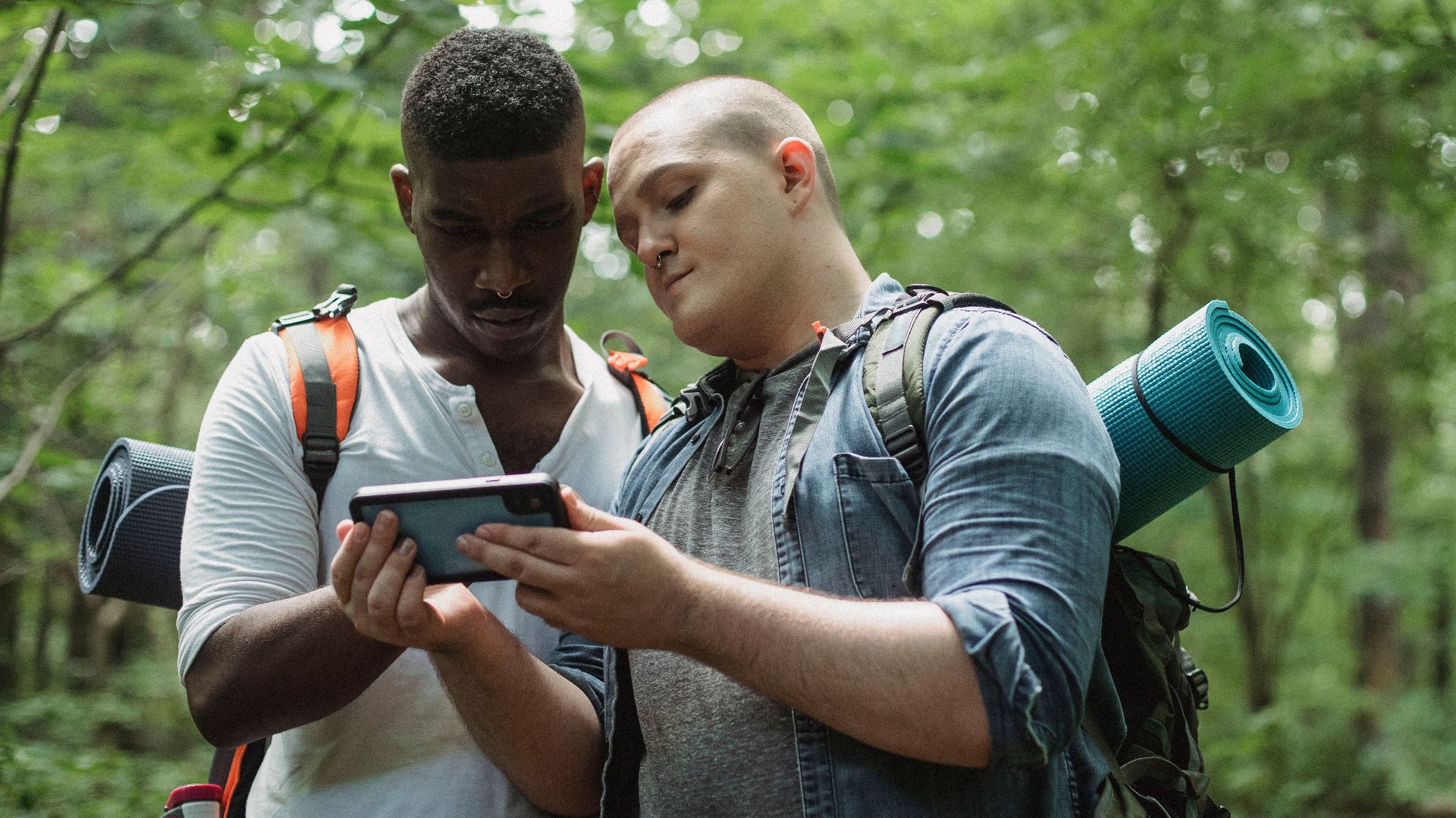 Focused multi ethnic backpackers watching smartphone while finding location in woodland in daytime on blurred background
