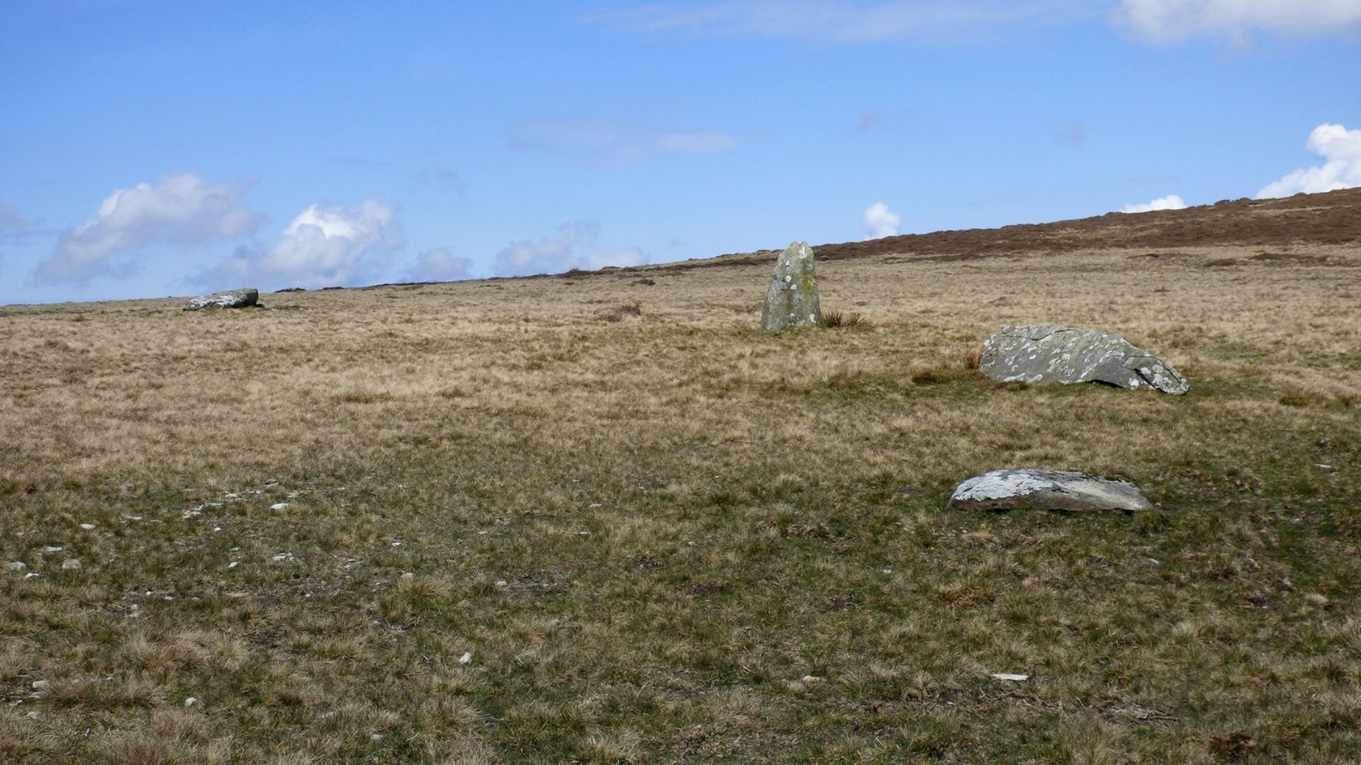 Waun Mawn Standing Stones