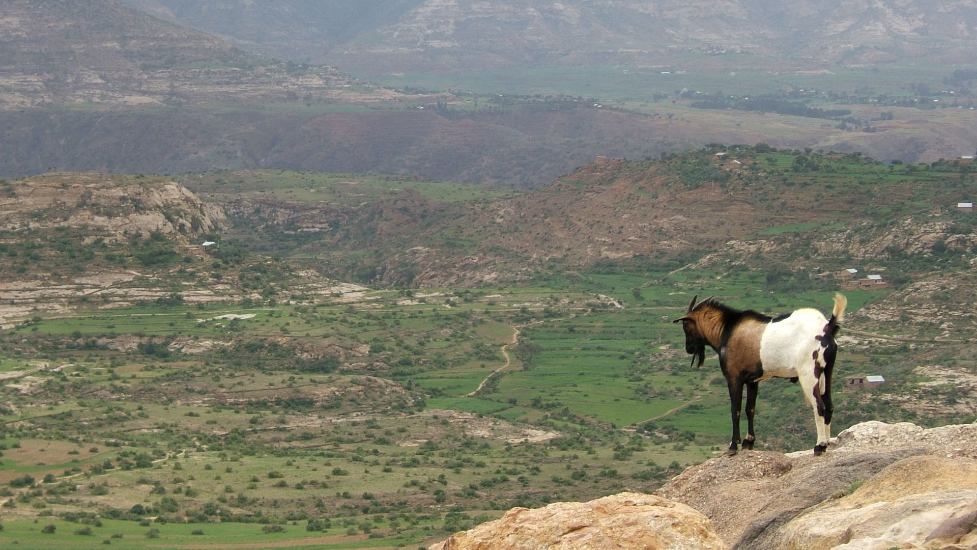 File:Ethiopian Highlands 01.jpg