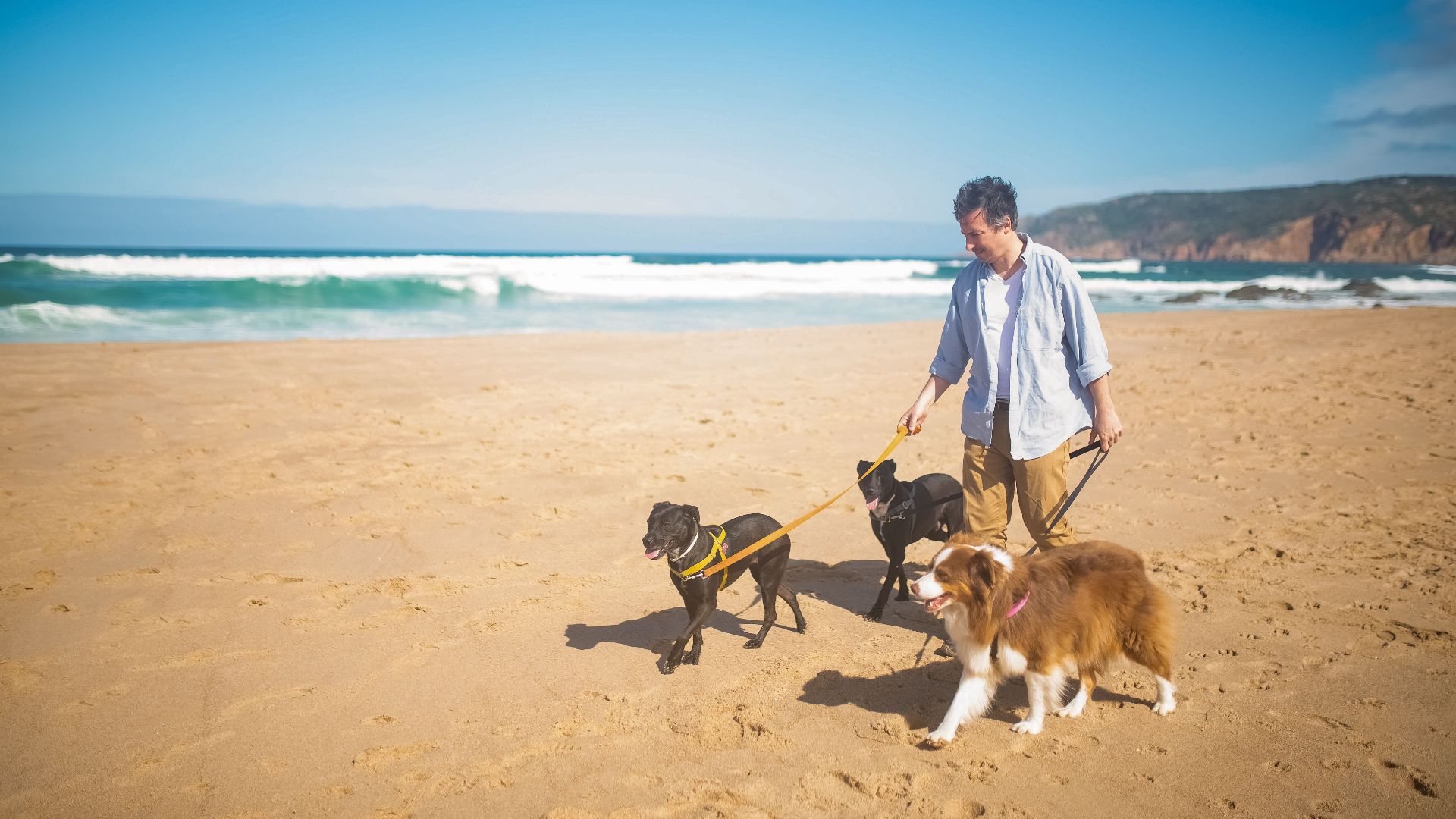 A man walks three dogs along a sunlit beach in Portugal. Scenic coastline and clear skies enhance the leisure moment.