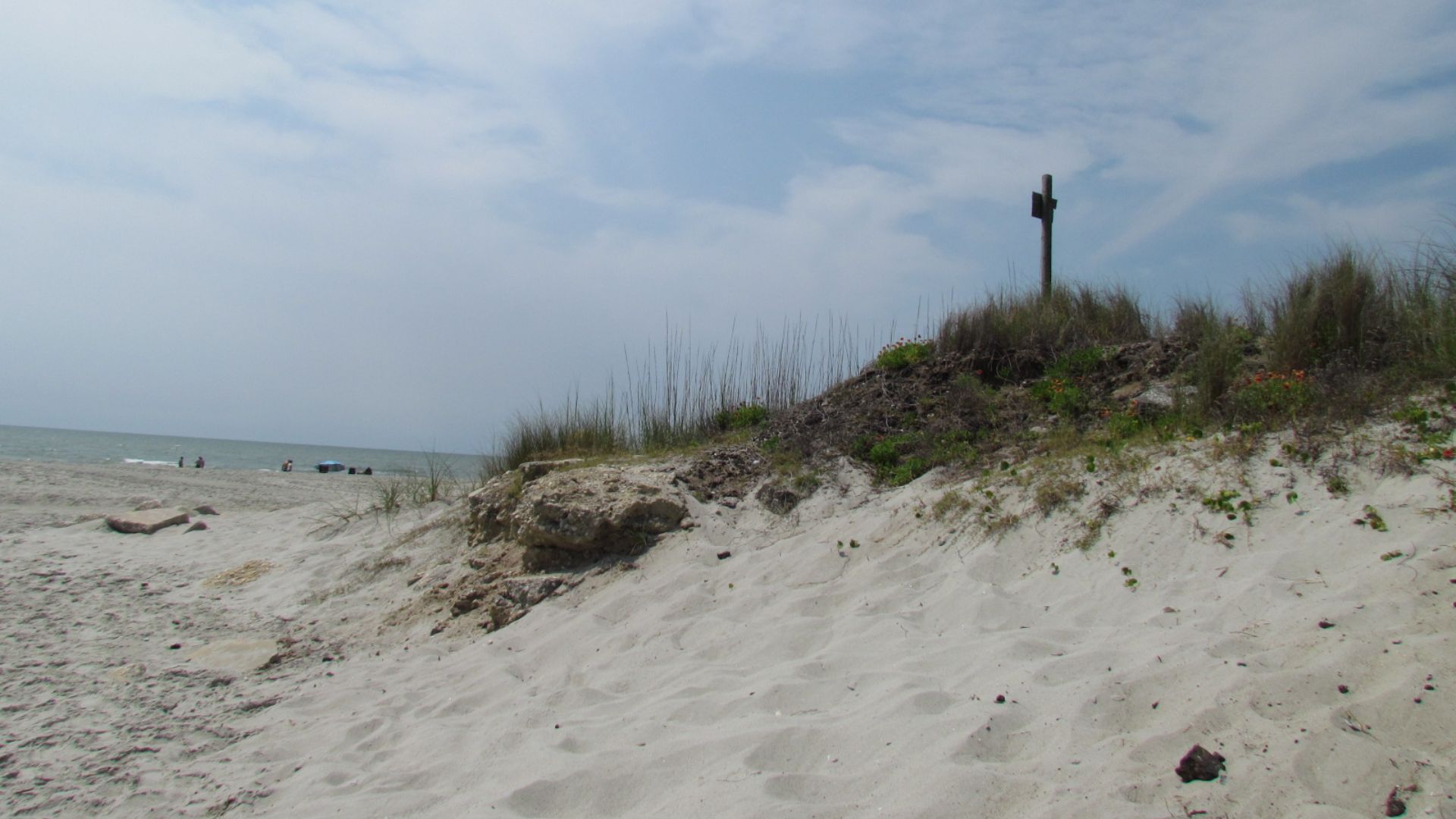 Sand Dunes in Myrtle Beach