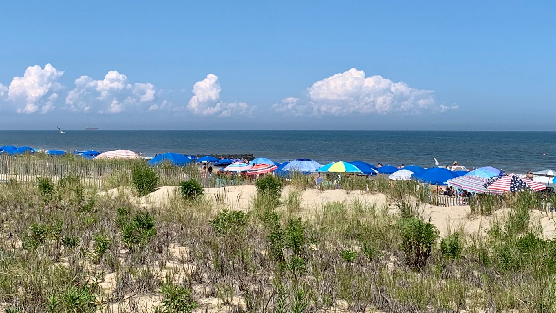 Rehoboth Beach, Delaware