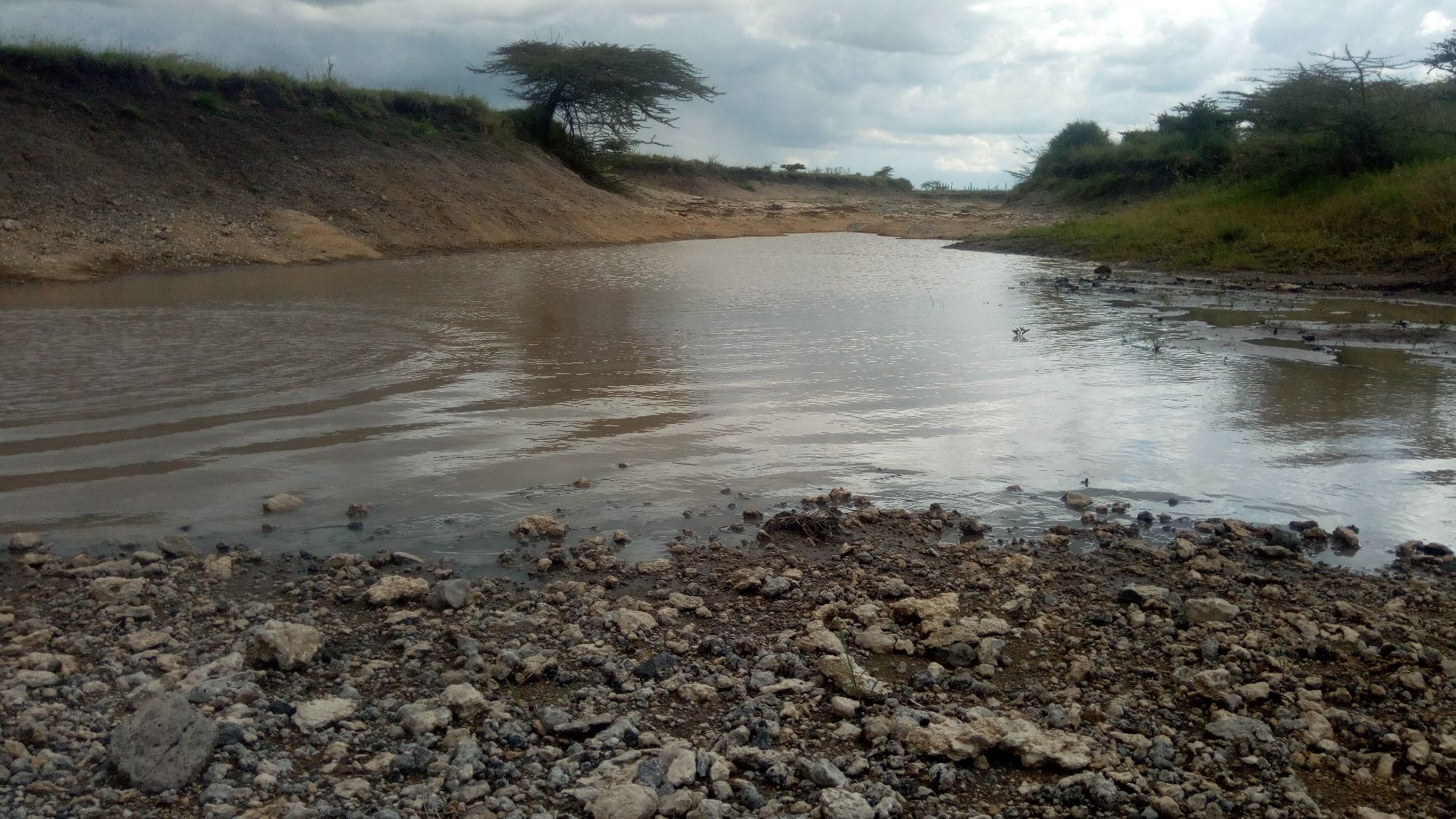 People do fetch water here for irrigation purposes.
