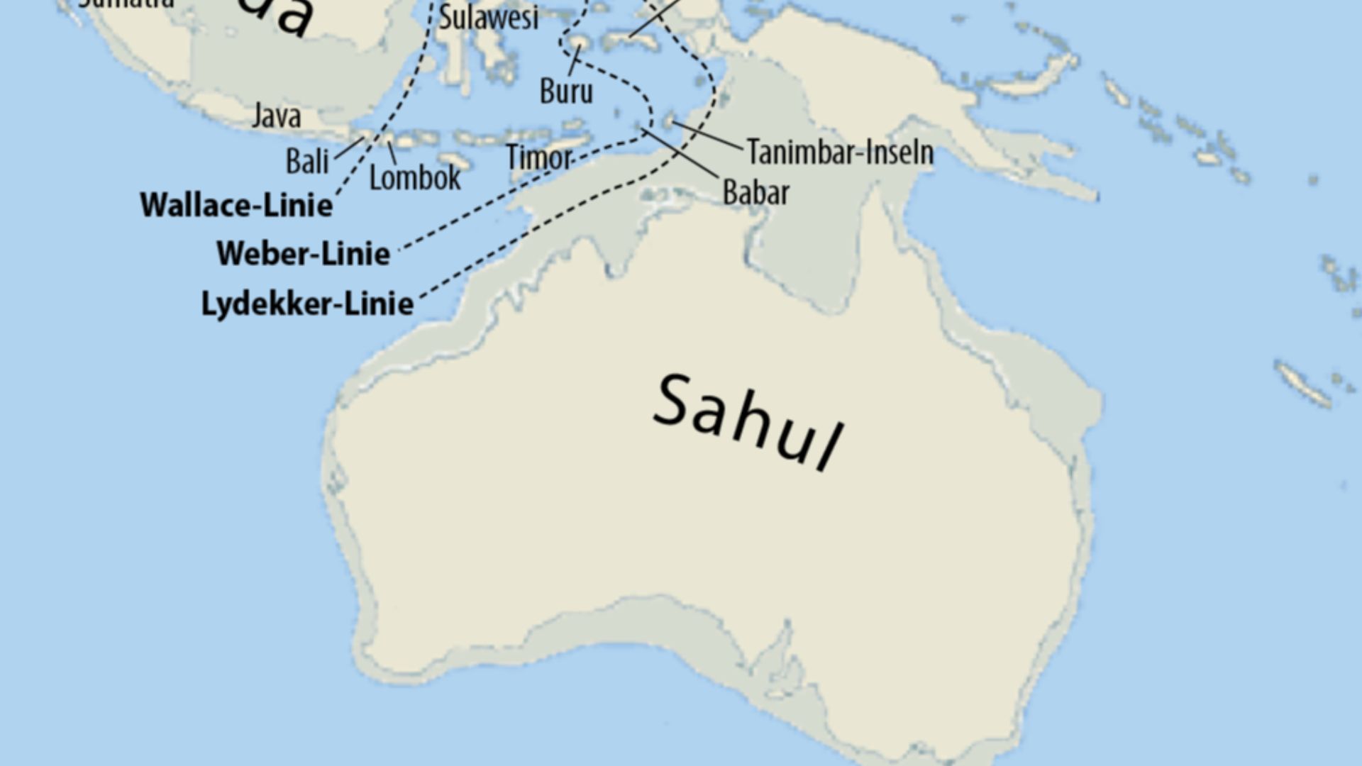 Map of Sunda and Sahul and the Wallace Line, the Lydekker Line and the Weber Linie