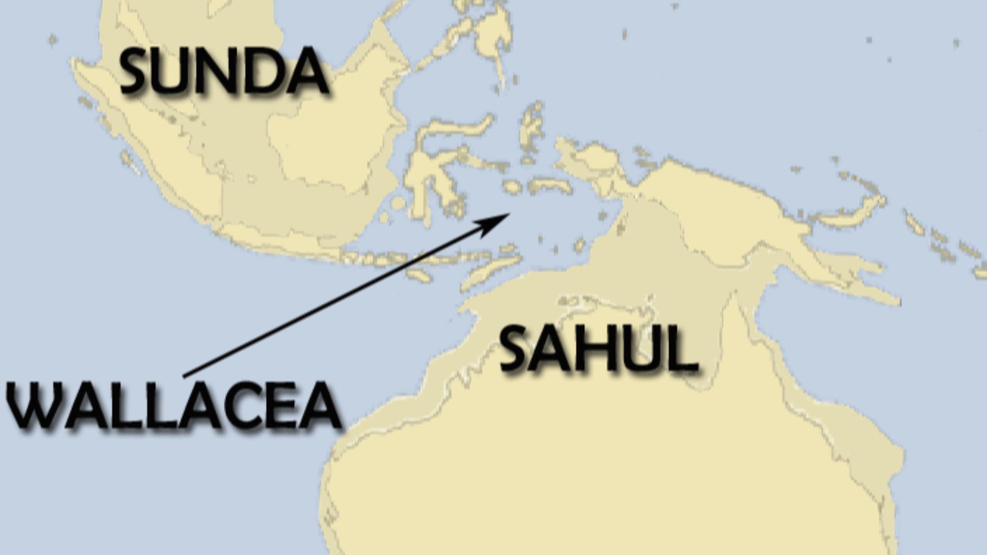 Sahul was the the strip of land that emerged during the last glacial maximum, when the sea was 100 metres under the present level, and which was linking New Guinea, Australia and Tasmania into a single land mass. The Sundaland was linking the south-wester