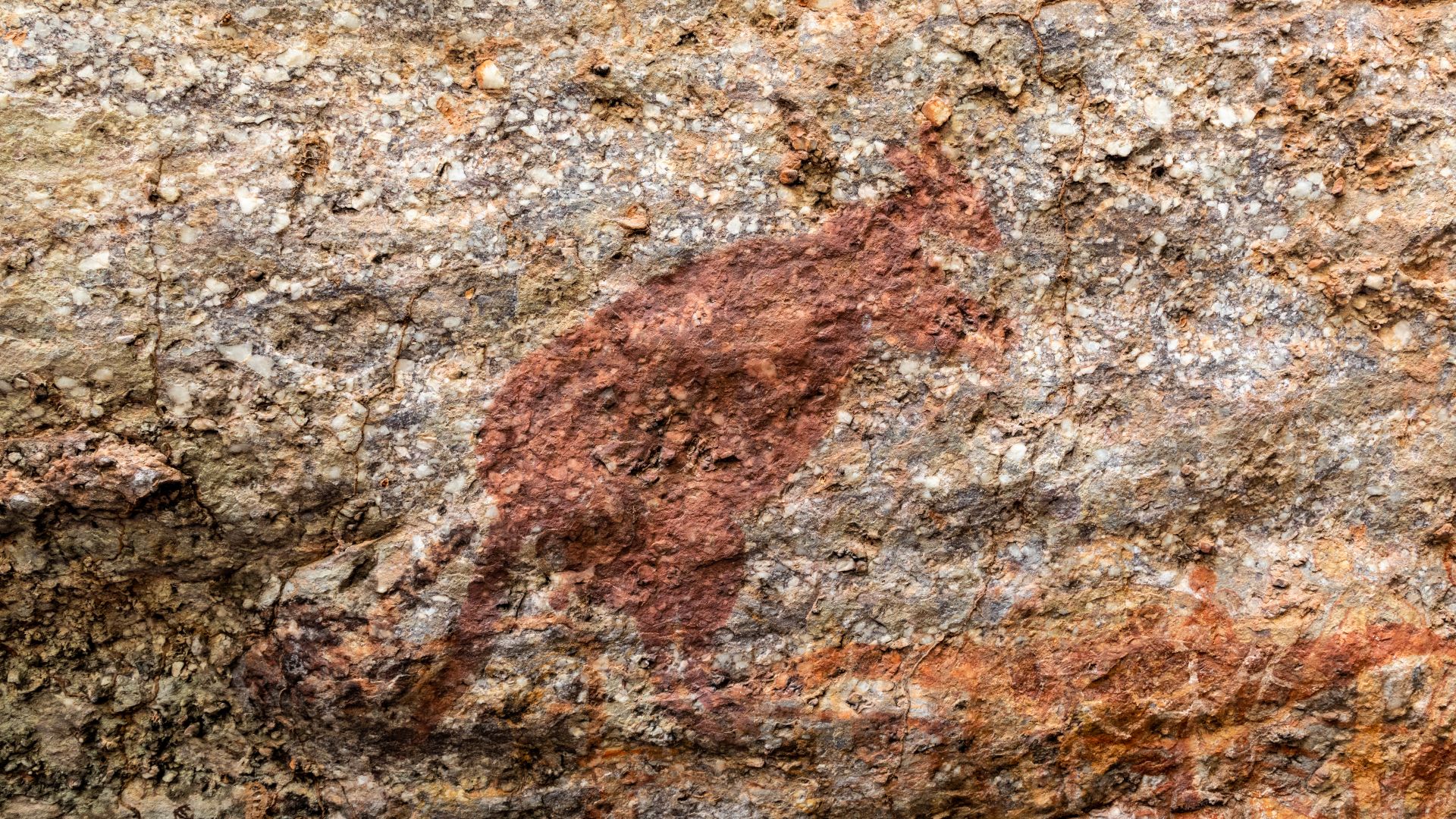 Rock art at Anbangbang Rock Shelter in Kakadu National Park, Northern Territory, AustraliaAs early as the 1930s, local communities and authorities were campaigning for environmental protection in the Northern Territory. In 1956, the park was officially pr