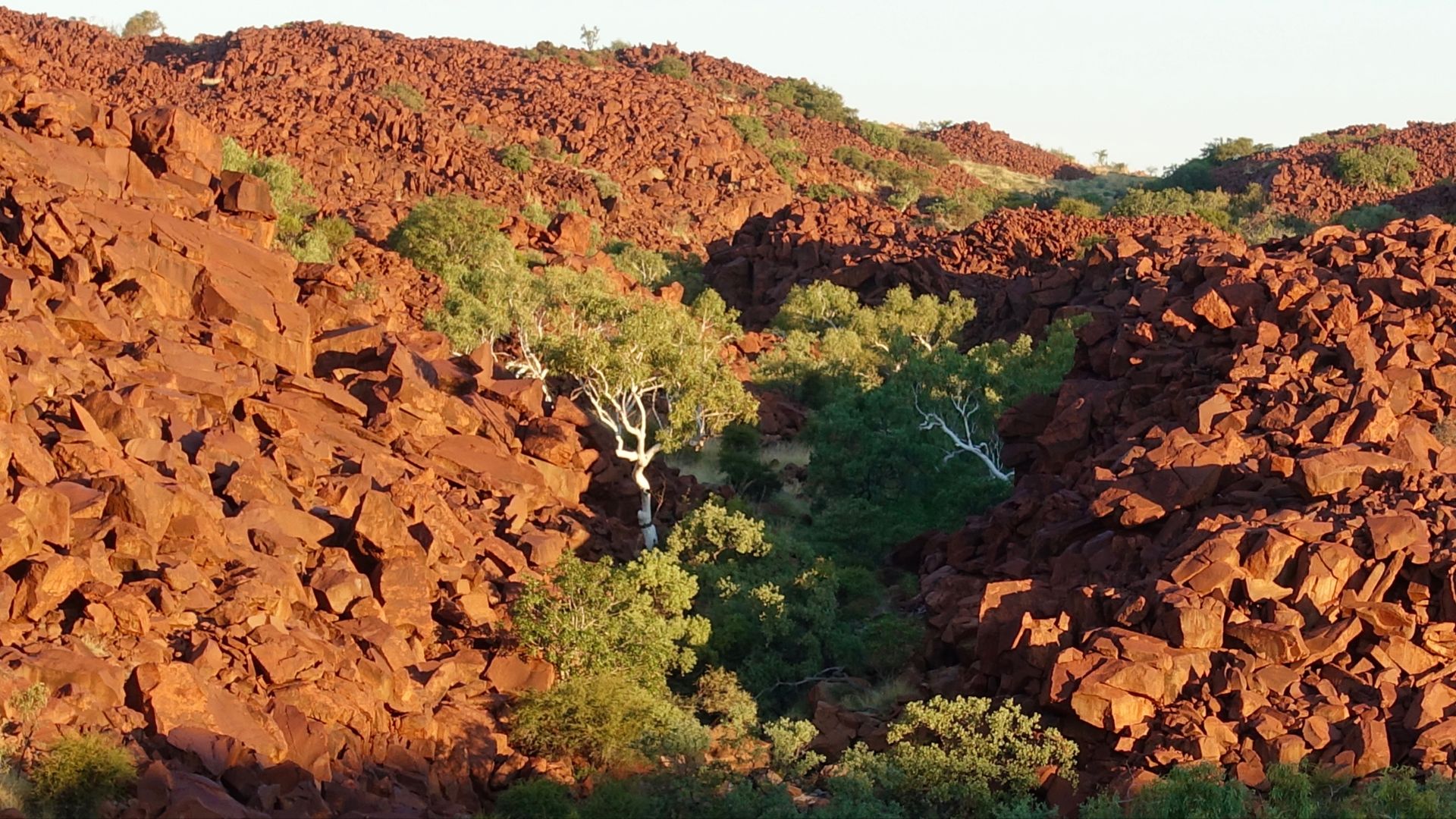 Murujuga National Park
The red rock dominates a dry landscape, with the streams running through the valleys becoming home for the Aborigines.