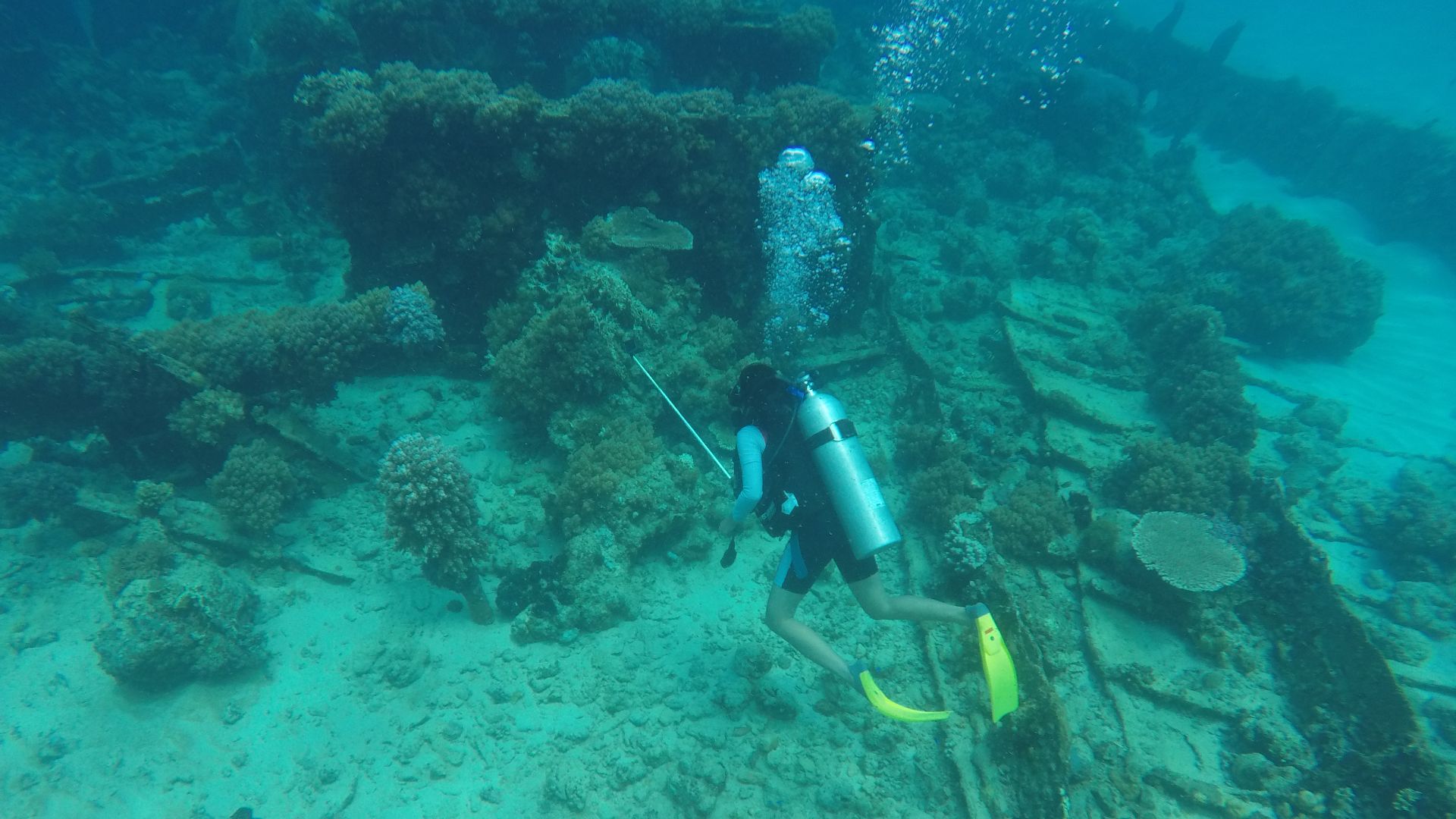 This is a shipwreck site in the waters of the island of Sagori, Bombana Regency, Southeast Sulawesi, which is the subject of underwater archeology research. This shipwreck has a historical record in 1890. Sagori Island is famous as the Bermuda Triangle fr