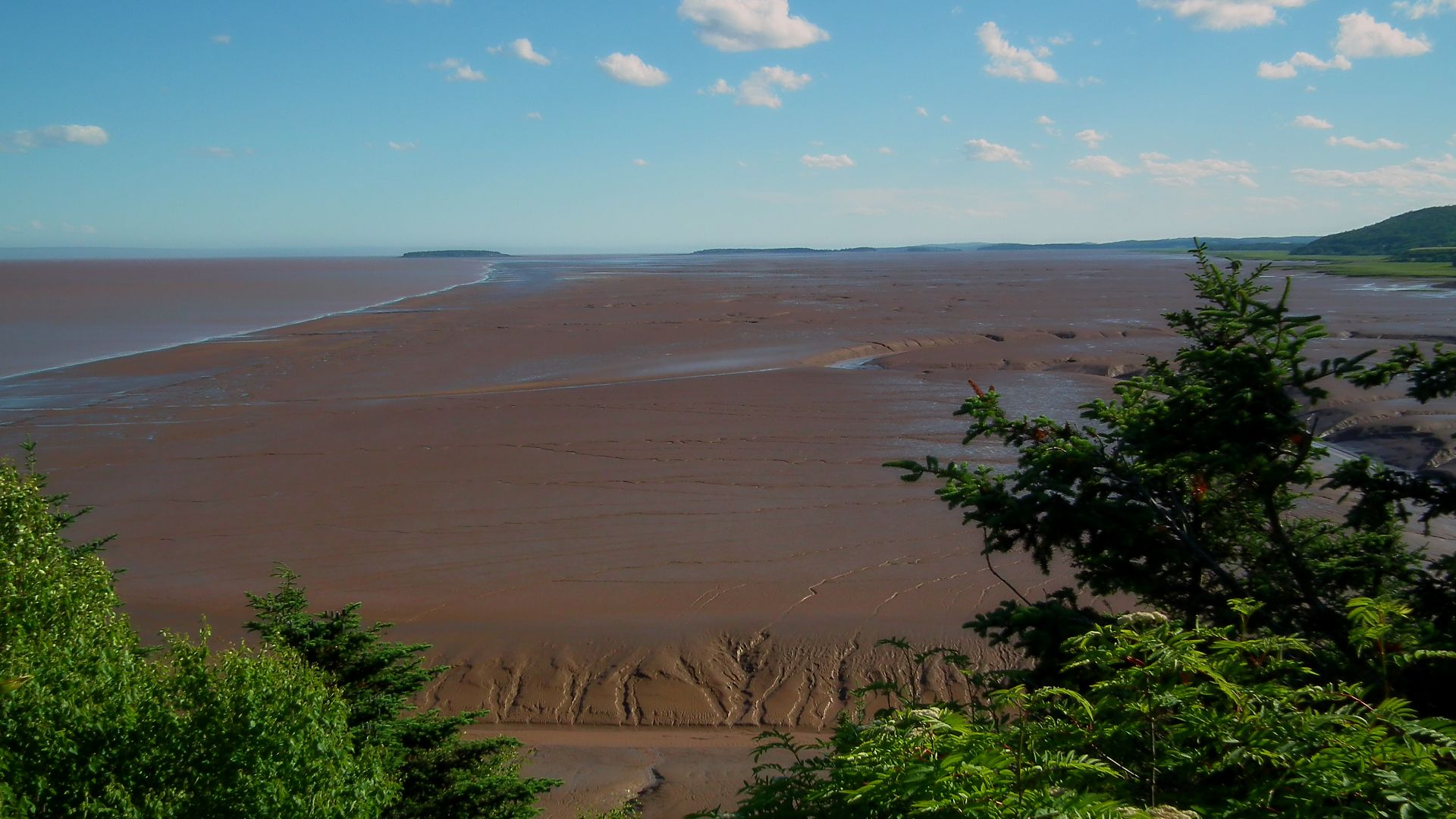 Low tide at the Bay of Fundy as seen from Hopewell Rocks Provincial Park.