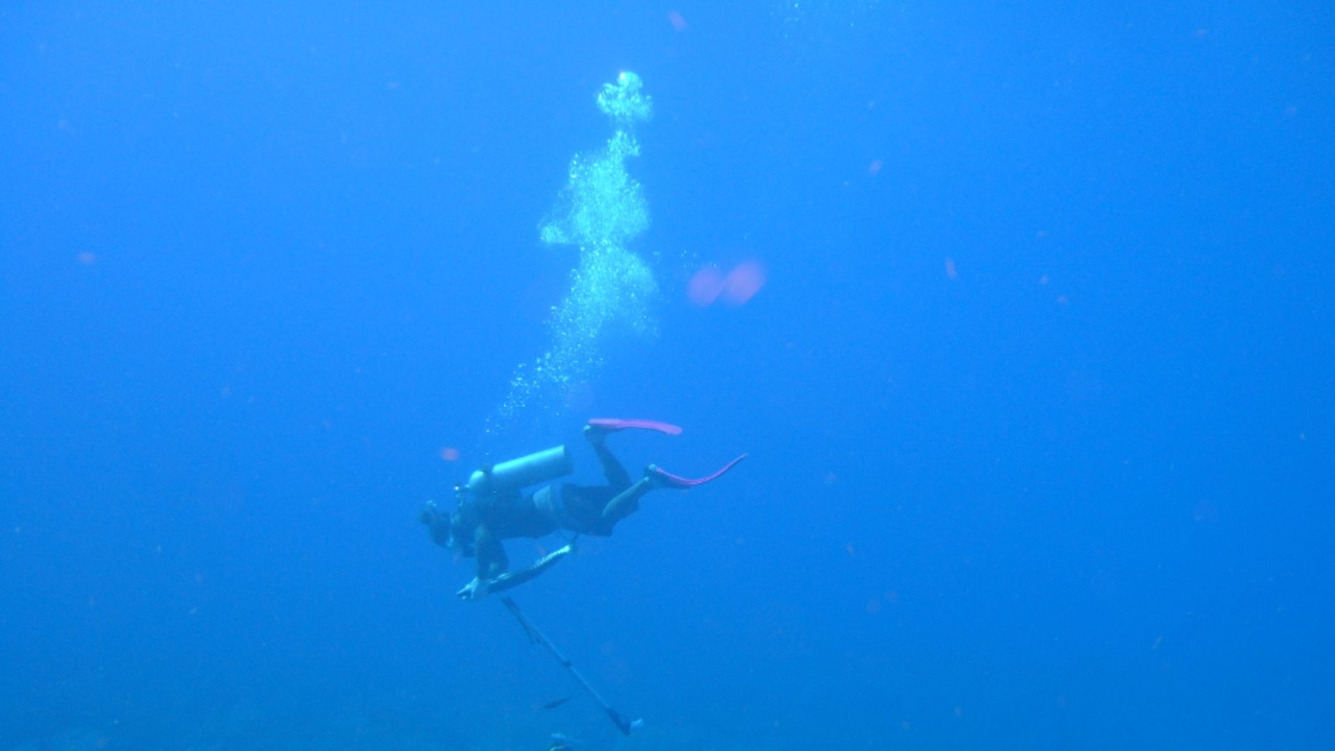 Korey adds a Barracuda to his catch.