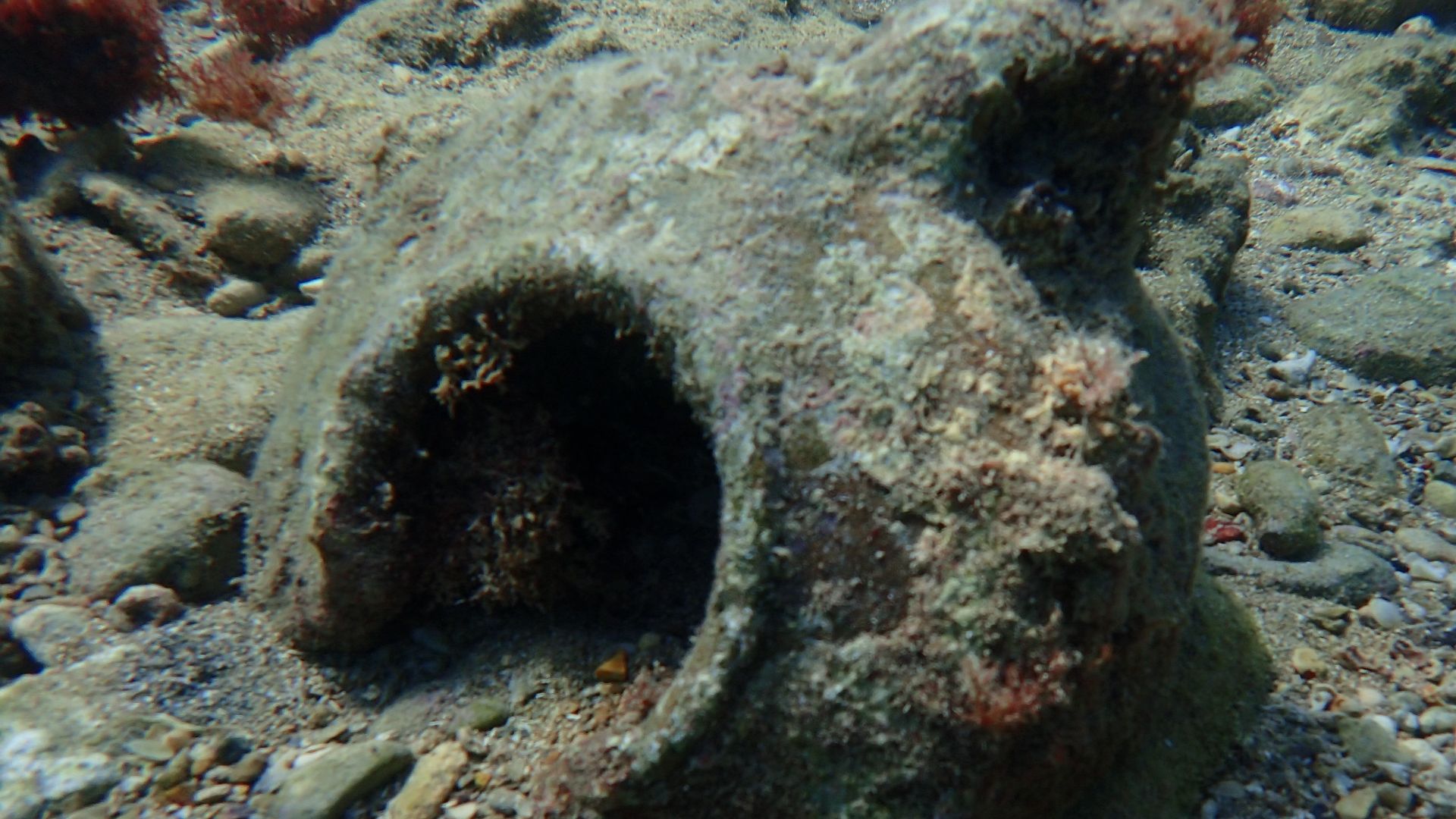 An amphora in the Mediterreanian Sea off the coast of Tyre/Sour, Southern Lebanon.