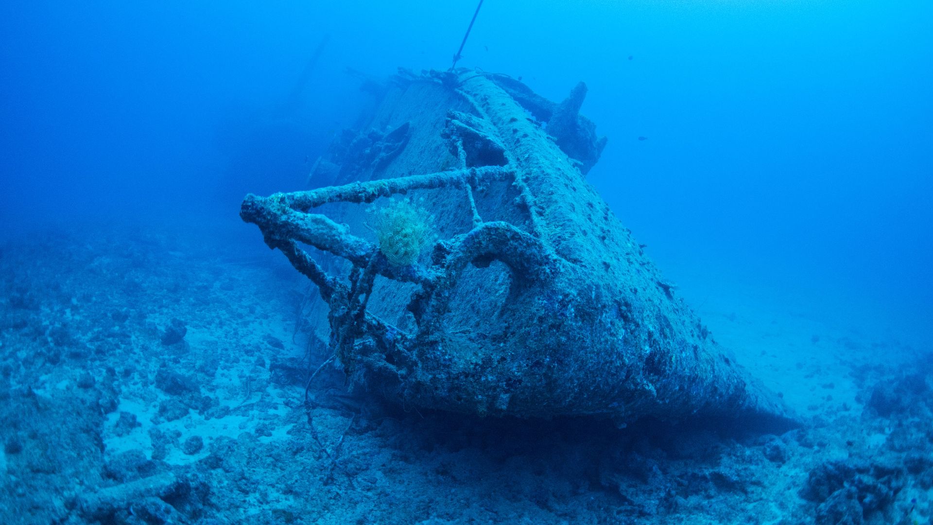 Explore the mysterious beauty of a sunken shipwreck resting on the ocean floor.