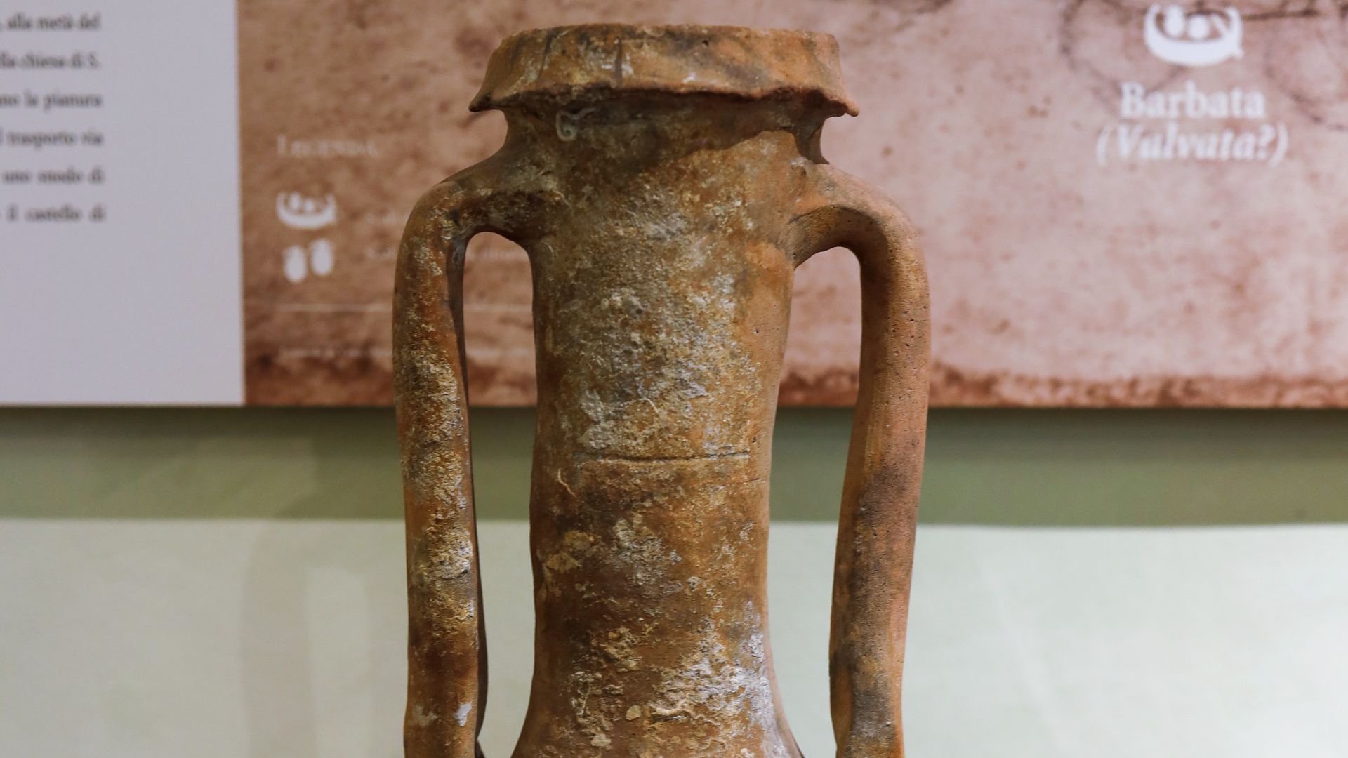 Anfora da vino, VI-V sec. a.C. Museo di Fucecchio