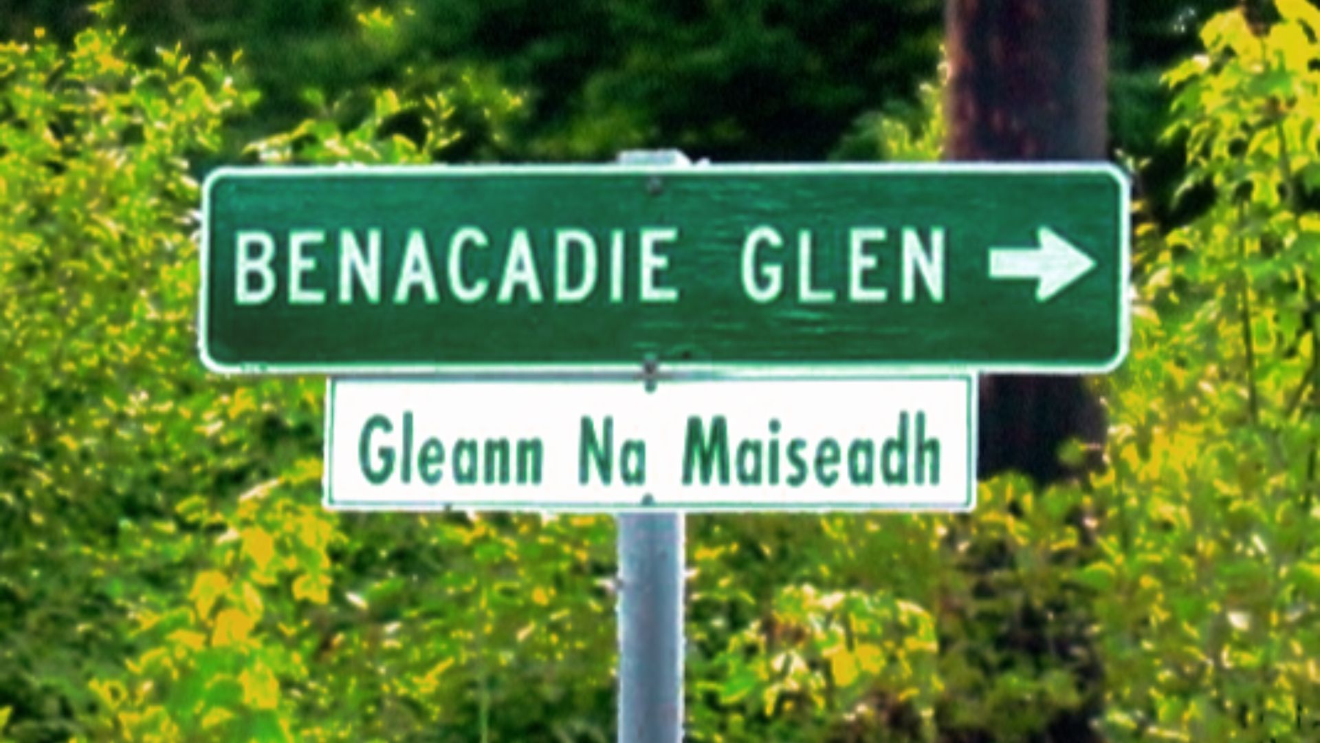 File:Benacadie Glen2.png