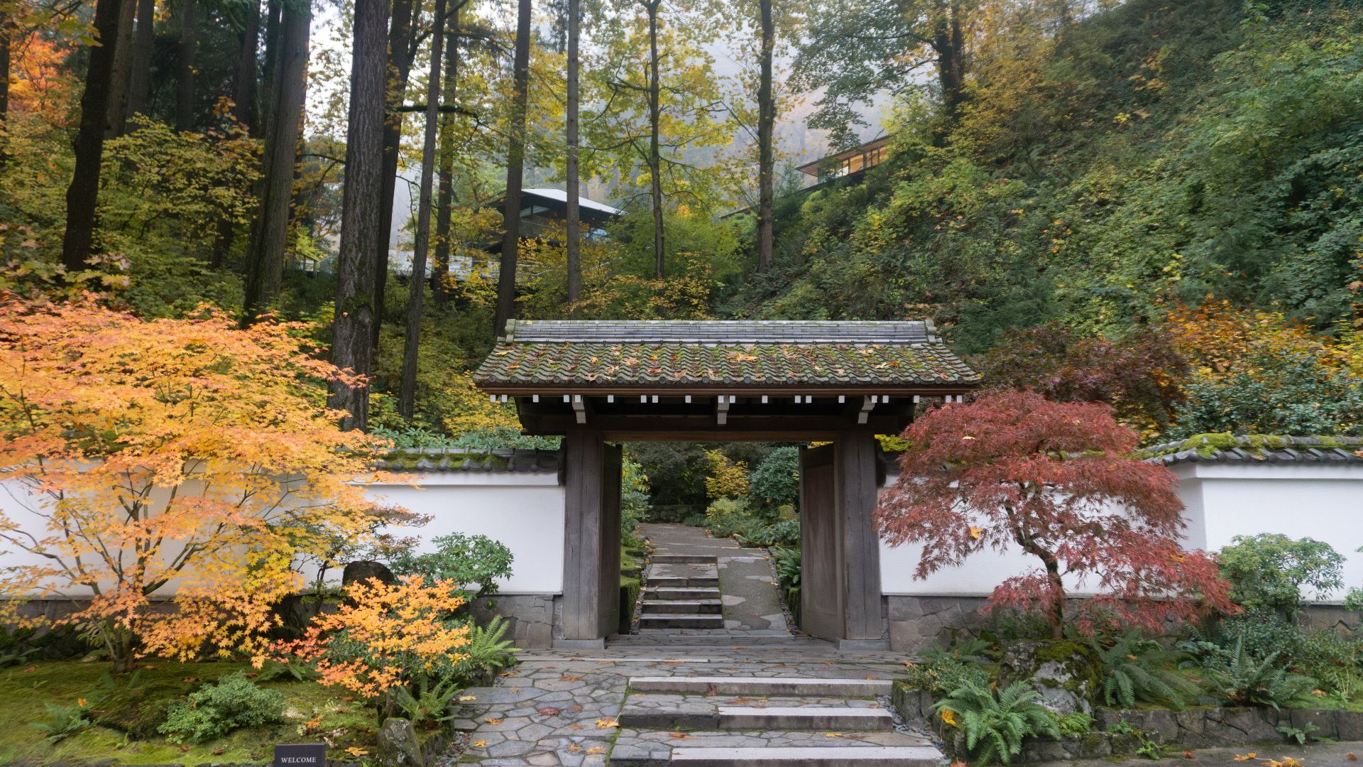 The Entry Garden at Portland Japanese Garden