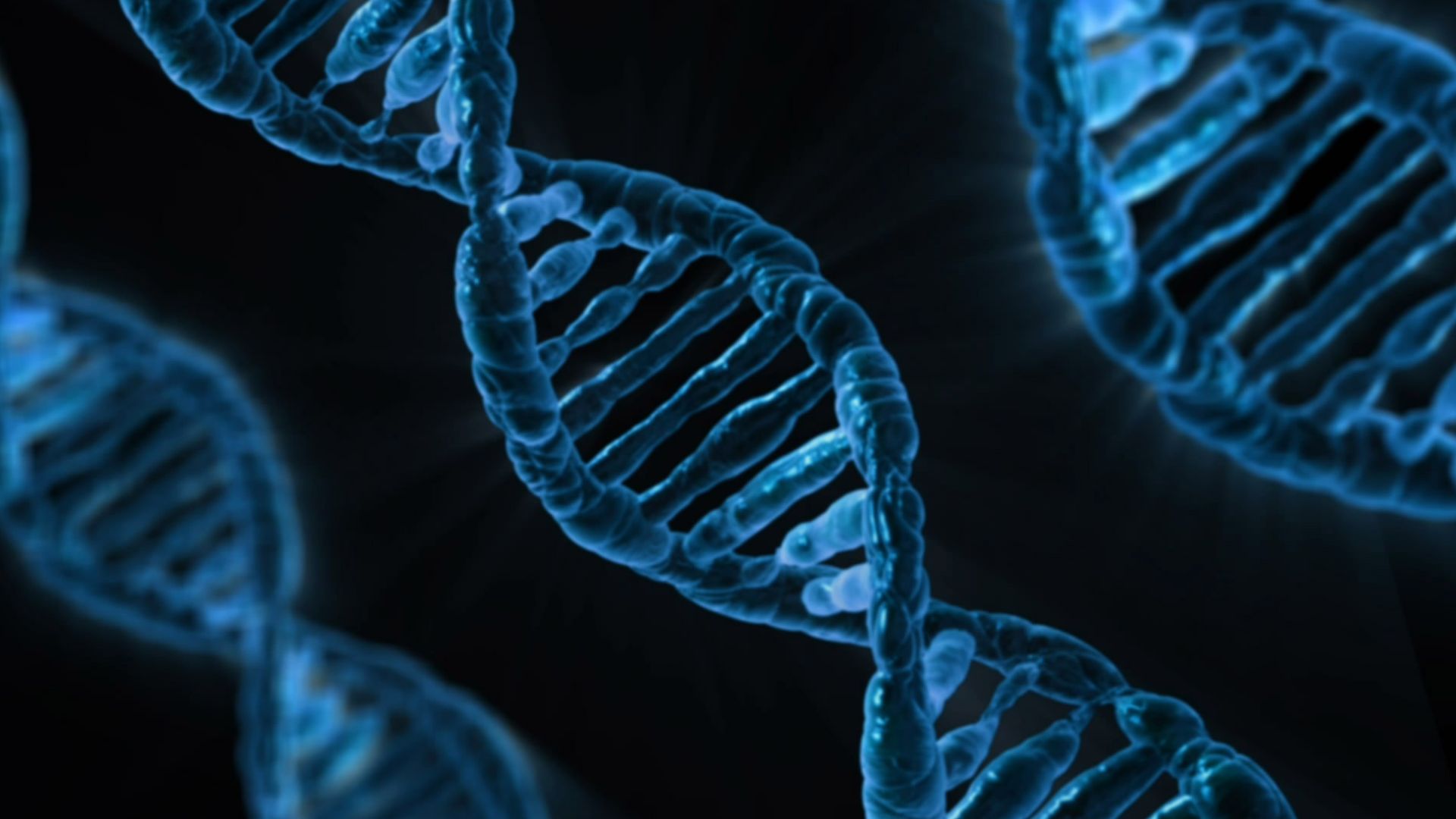 The human DNA model takes on a double helix shape