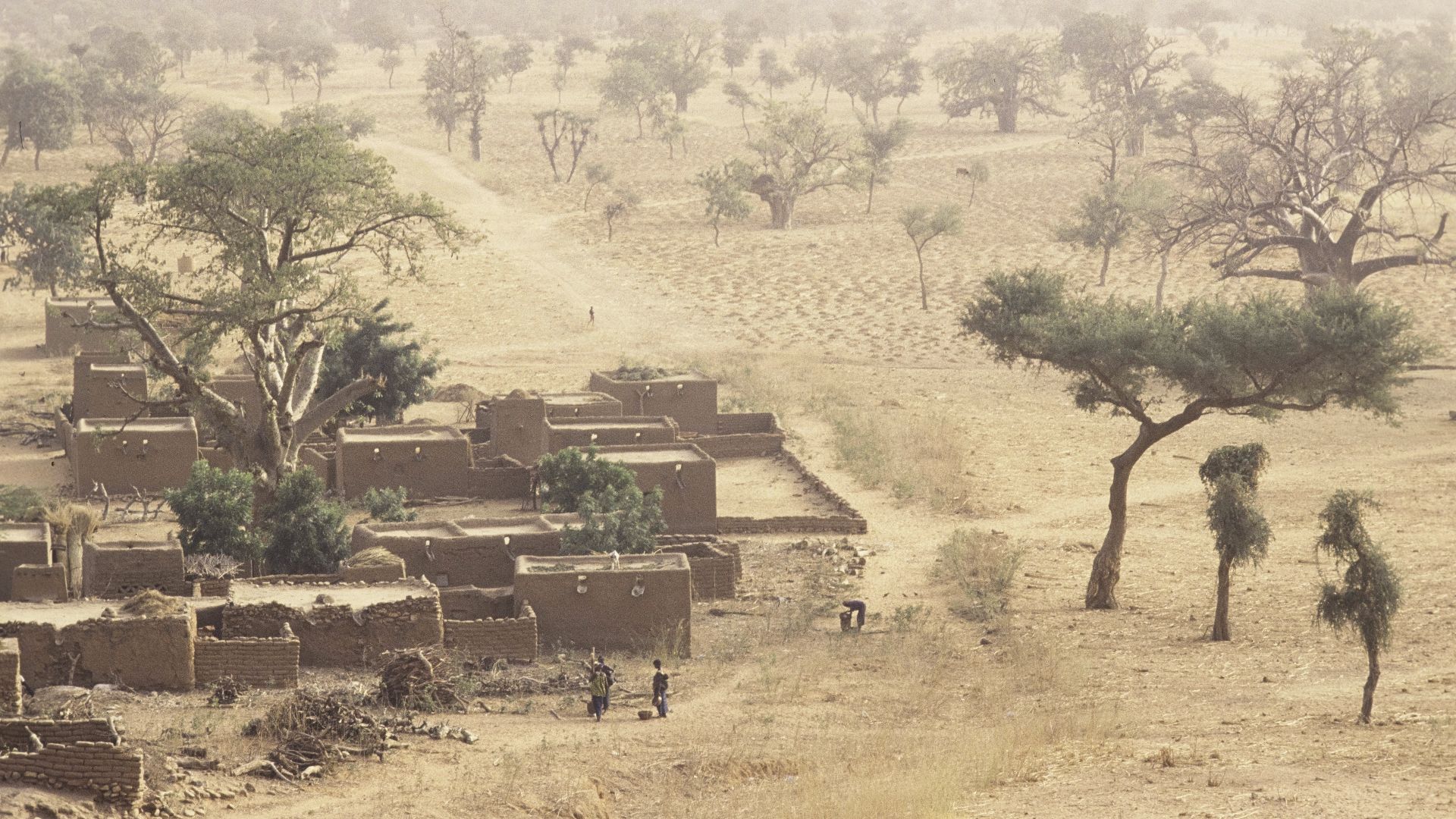 A view of Teli from the Bandiagara Escarpment: small yellow small square mud buildings. Further on the savanna with scattered dry trees. Women with a mortar and pestles, a boy with a bowl and a pan.
