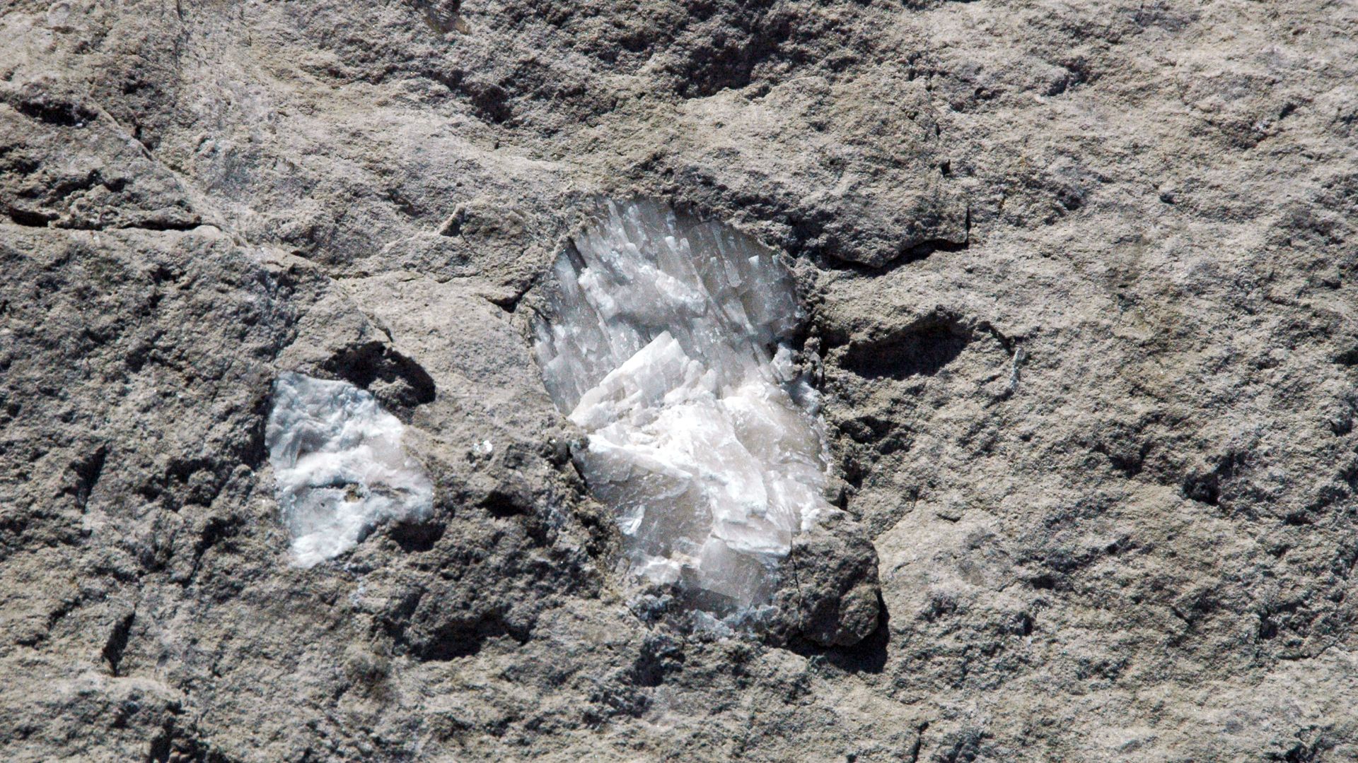 Coarsely-crystalline calcite in limestone in the Devonian of Ohio, USA.
Calcium is a common mineral composed of calcium carbonate, CaCO3.  It has a nonmetallic luster, is commonly clear to white to yellowish to grayish, has a white streak, a hardness of 3