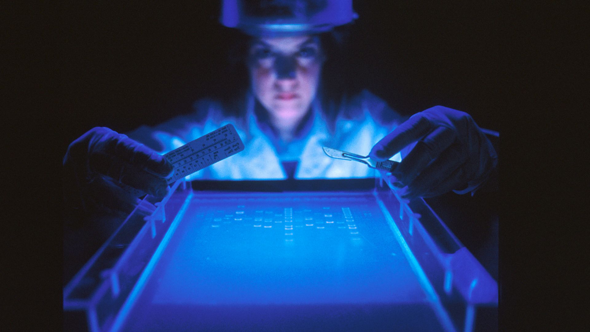 Title DNA Fragmentation
Description A dye marker on agarose gel used to separate DNA by a female scientist. The smaller fragments move faster, the larger ones move slower. This separation process is used to analyyze the size of DNA fragments, to map DNA, 