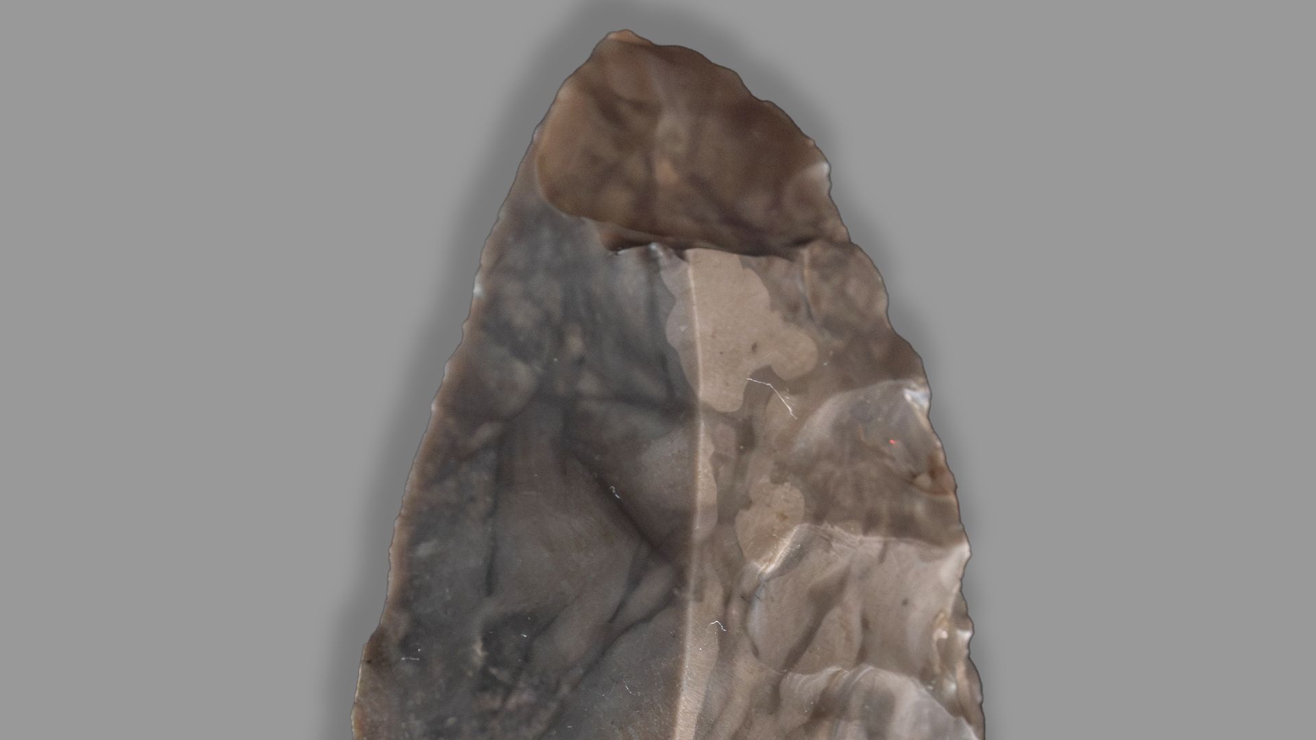 Jerzmanowice-Spitze aus der Ilsenhöhle unter Burg Ranis, ausgestellt im Museum Burg Ranis. Umzeichnung der Rückseite aufgrund des Urheberrechts nicht abgebildet.
