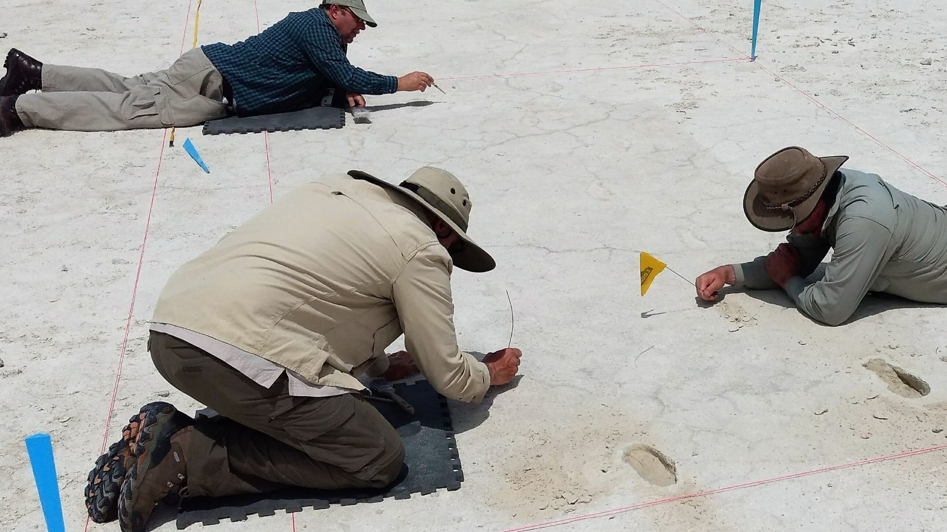 Three researchers flag toddler prints discovered within a marked site.
The discovery of fossilized footprints of toddler age was quite exciting to researchers as this led to greater interpretation of the cultural activities that were present during this t