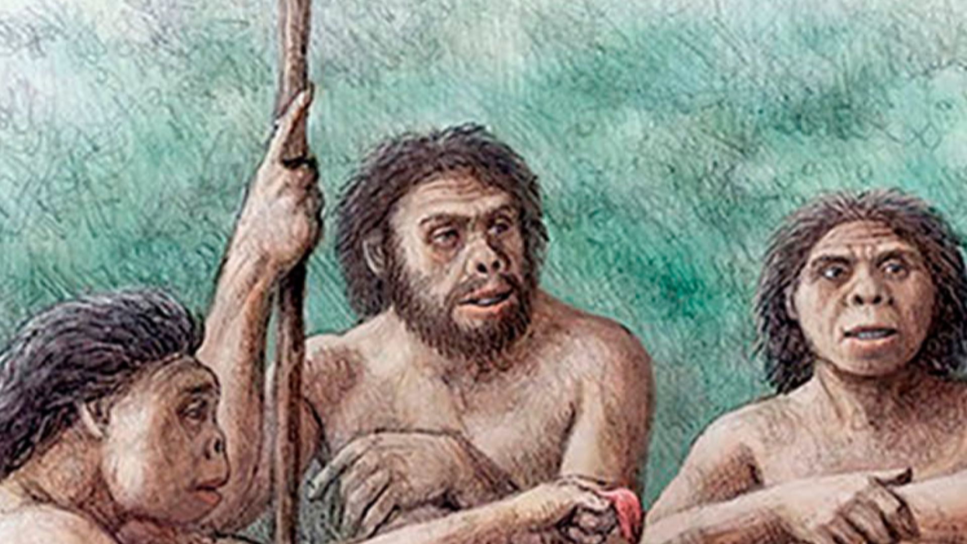 Altruistic behaviour of a group of Homo erectus sharing food with an individual who lived several years without teeth (as evidenced by edentulous skull D3444 and associated mandible D3900). This severe masticatory impairment would limit the diet of the in