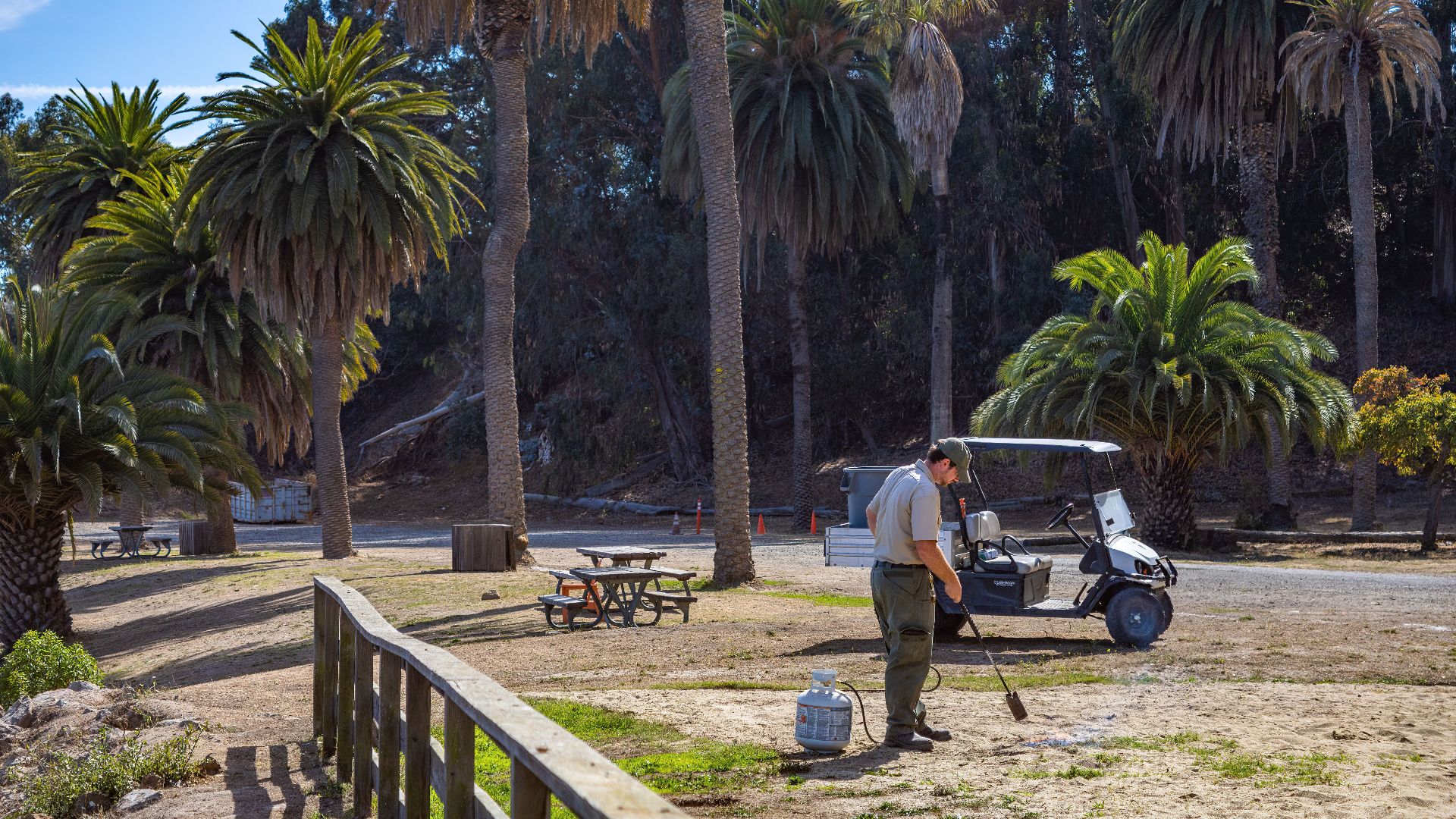 A park maintenance worker cleaning ground near golf cart and palm trees in summer.