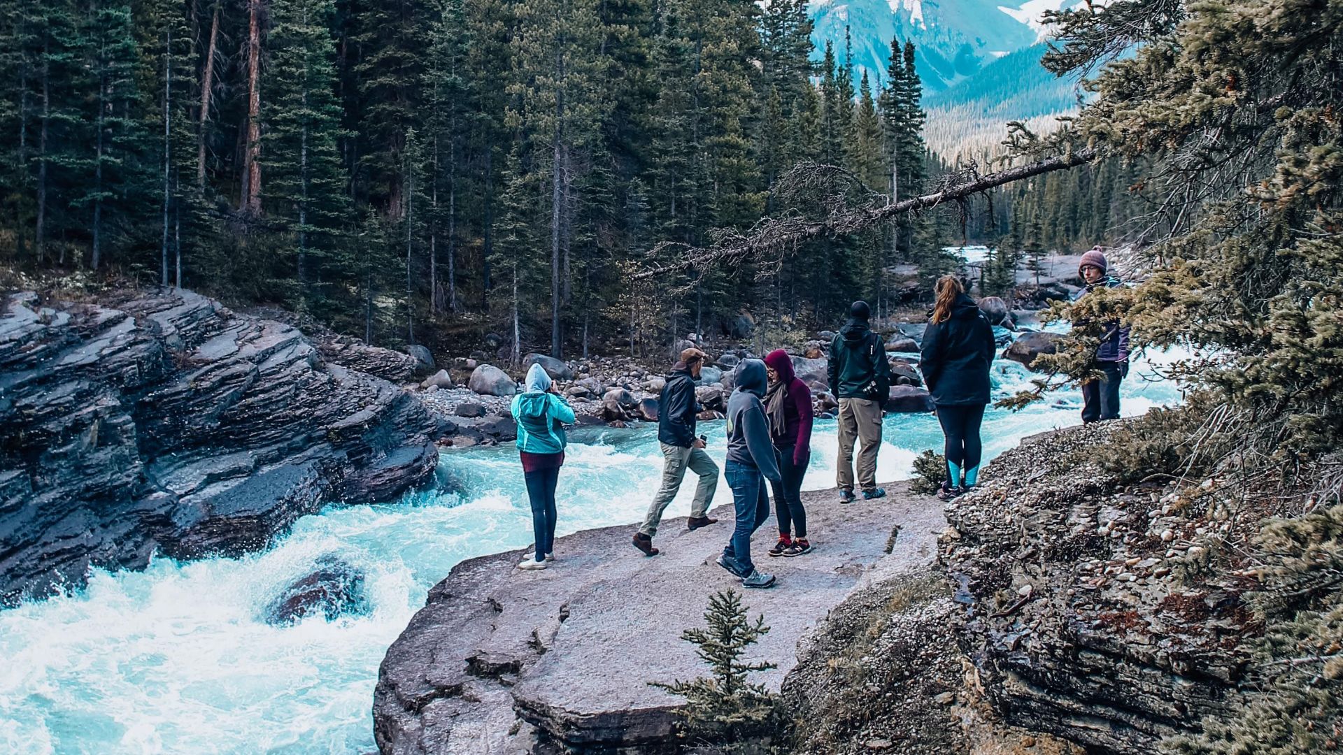 A group of hikers admire the river amidst a lush forest and majestic mountains.