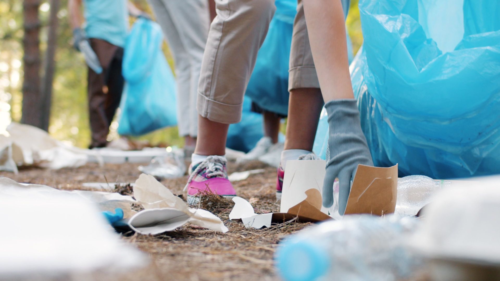 Volunteers cleaning forest area, picking up litter and sorting in bags.