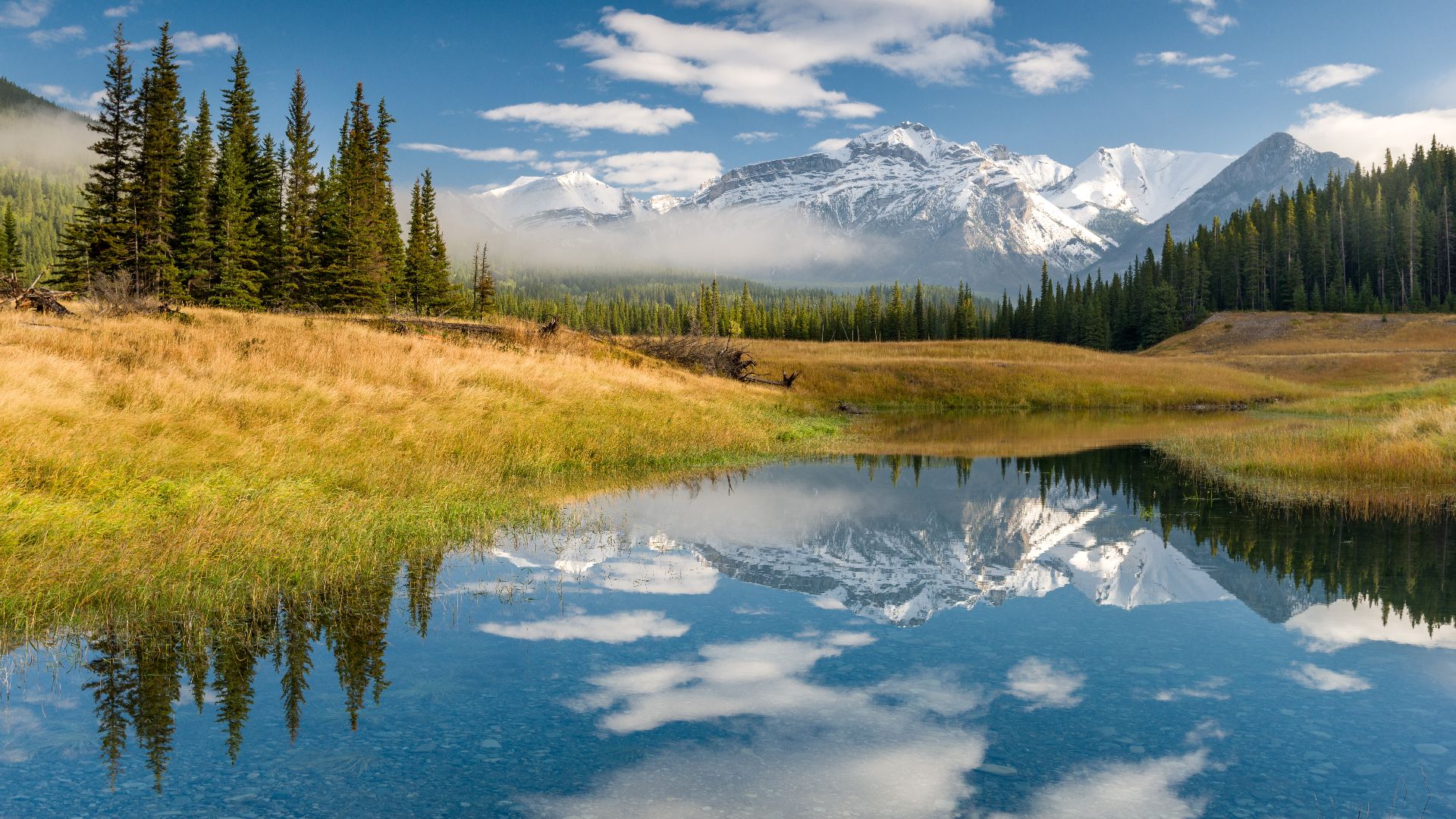 Canadian Rockies in the morning. Banff National Park, Alberta, Canada.