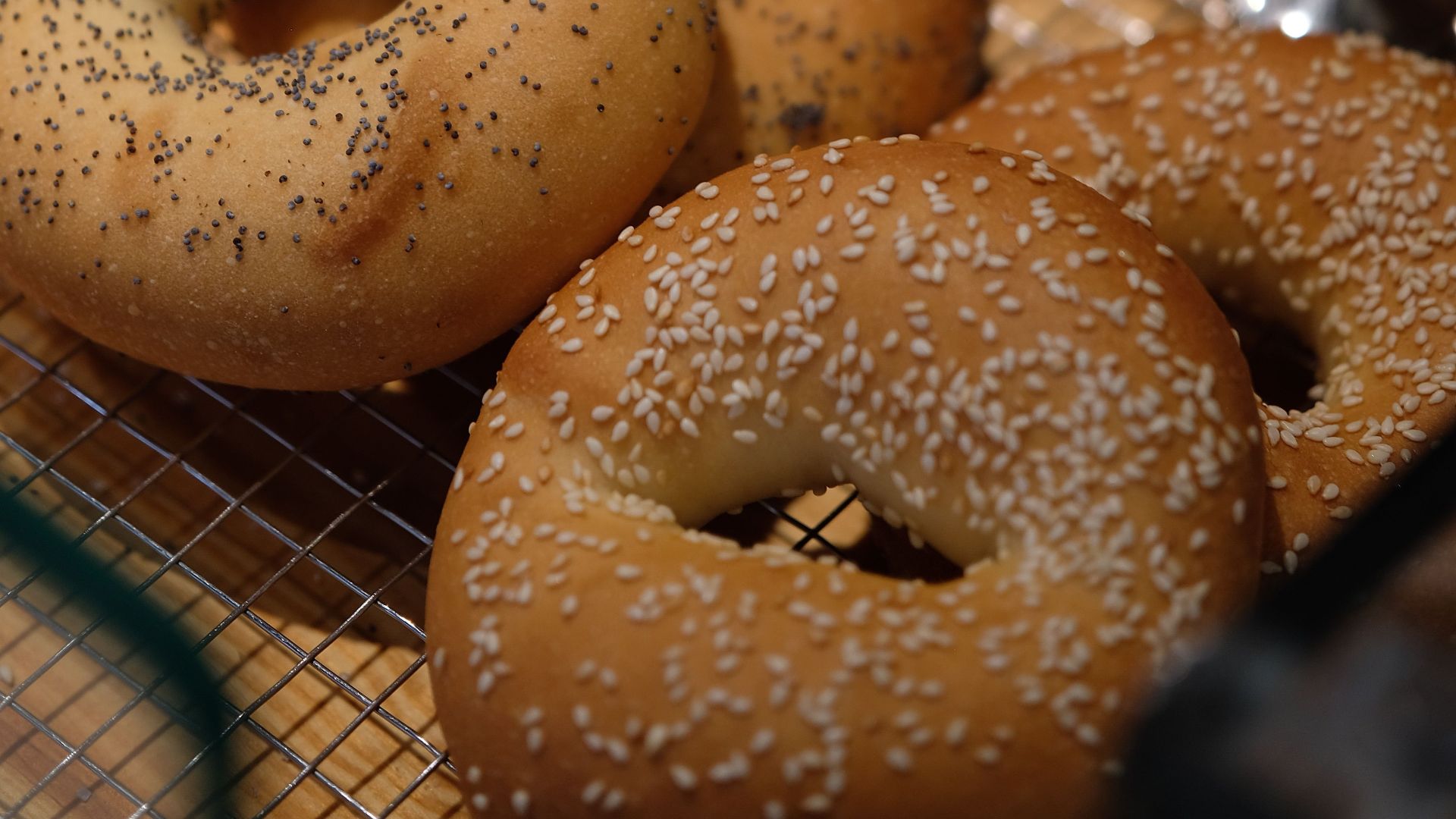 A close-up of various types of fresh bagels in a bakery setting.
