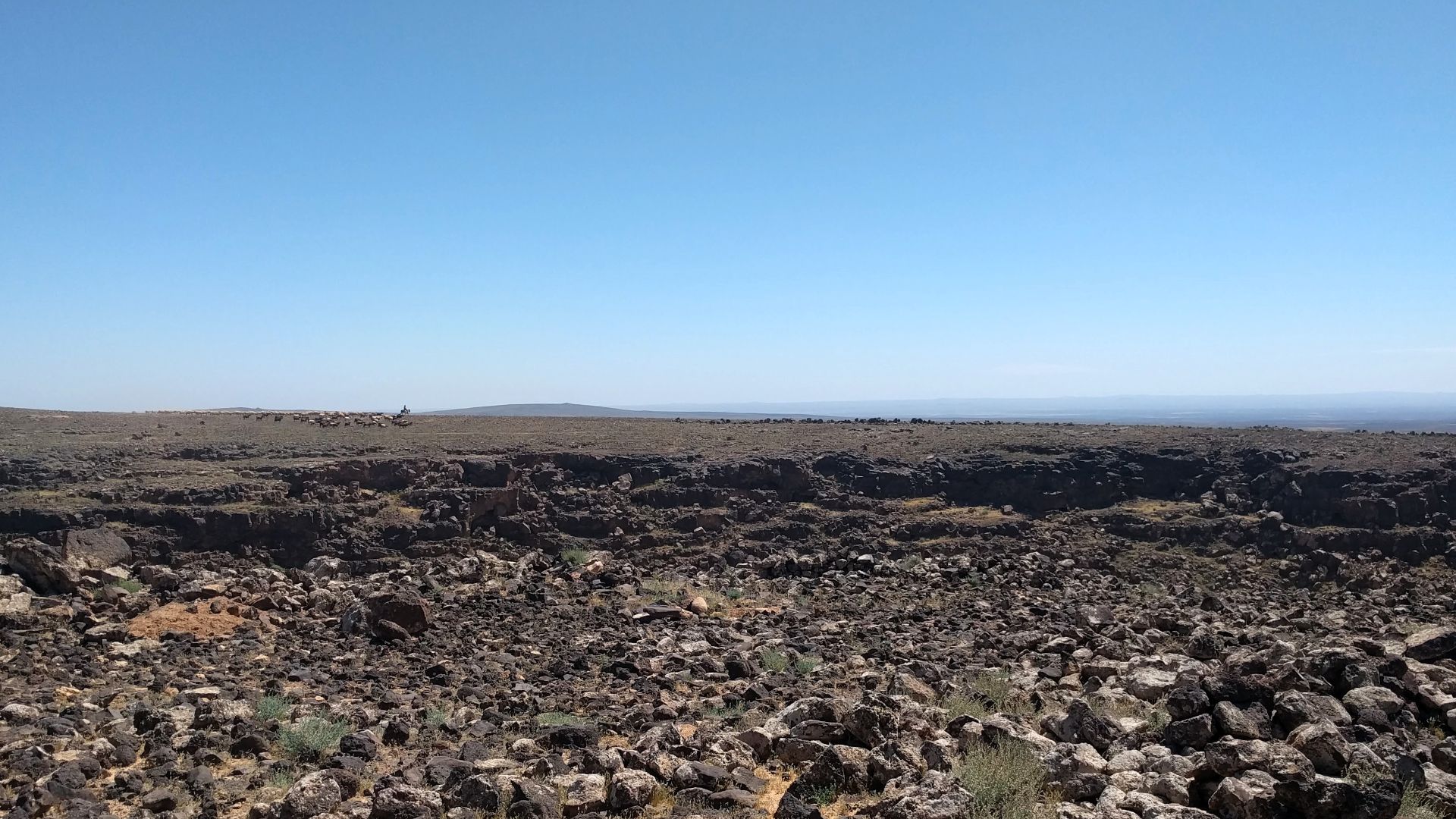 Photograph of a deeply-incised section of the Wadi Rajil near Jawa, in the Harrat al-Sham of eastern Jordan. A Bedouin shepherd and his flock can be seen on the opposite bank.