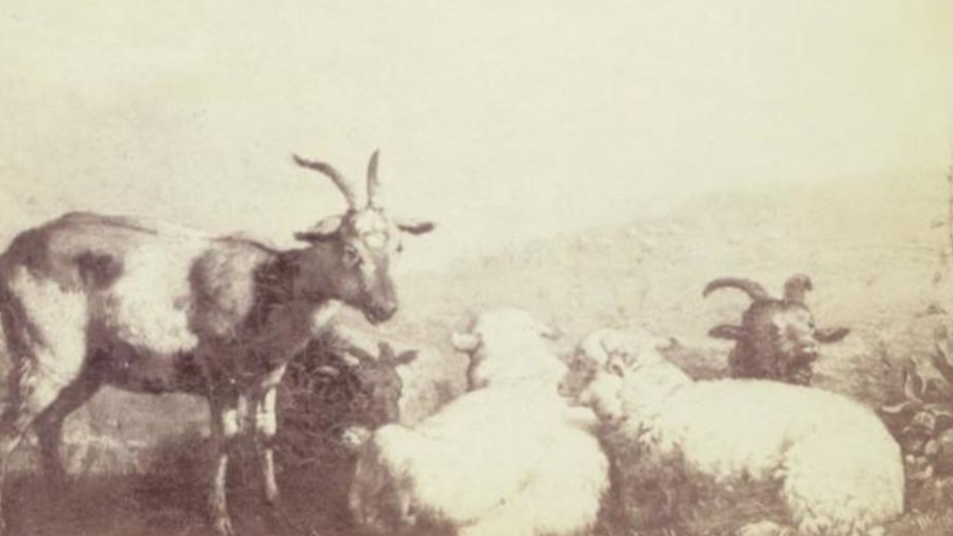 File:Karel Dujardin - Rustende geiten en schapen in een landschap - NG985 - National Gallery.jpg