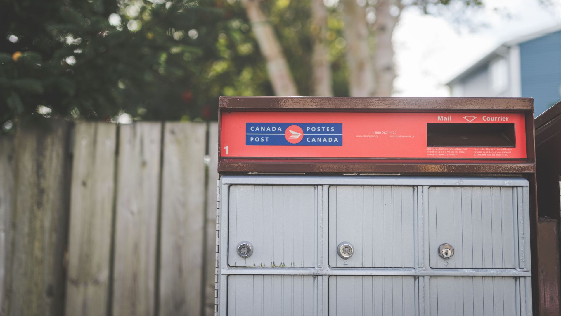 Close-up image of a Canada Post mailbox outdoors with natural background.