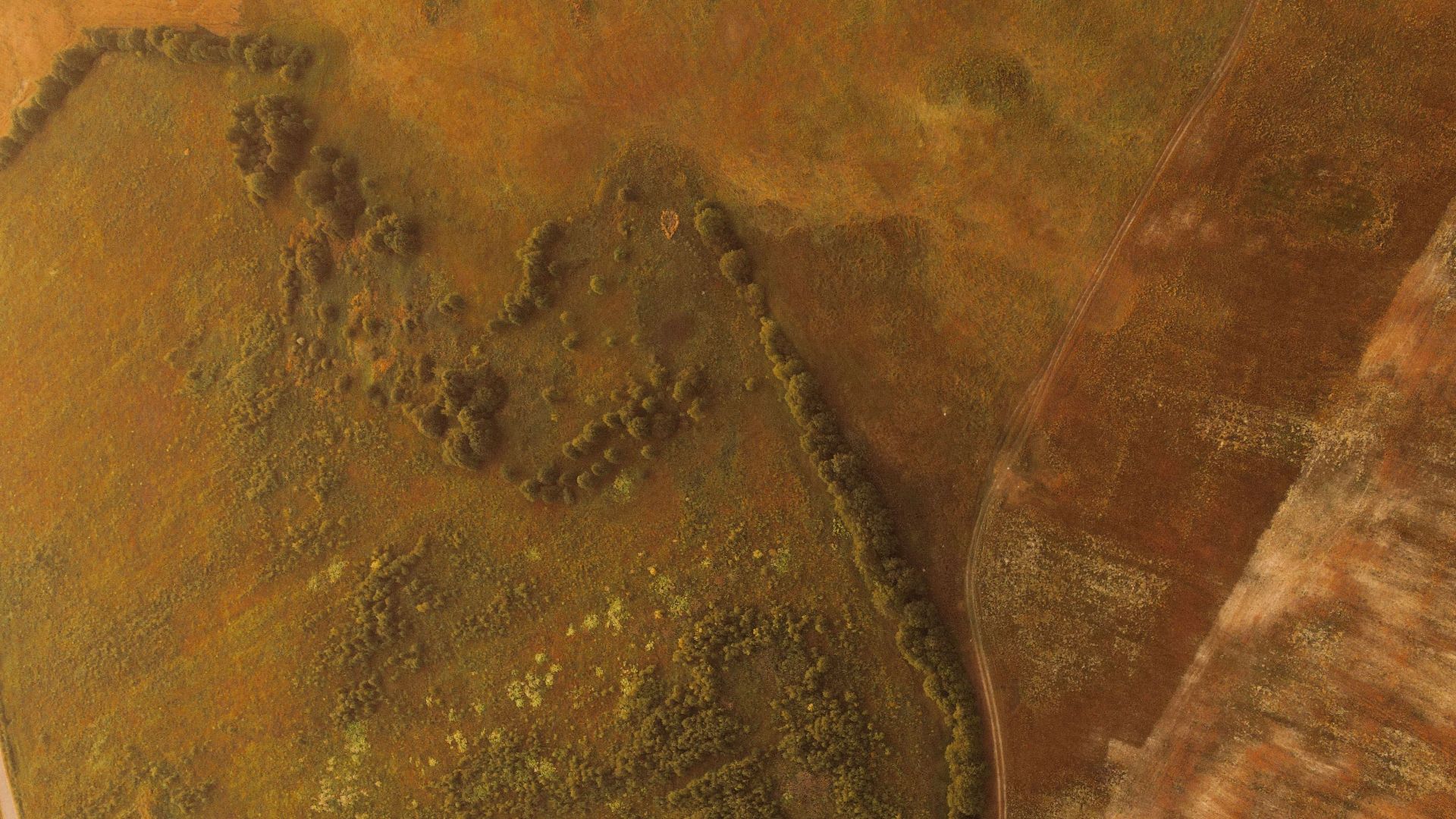 Drone aerial view of countryside farmlands with croplands and roads.