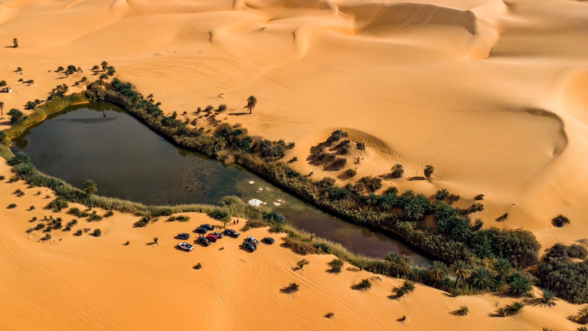 A stunning aerial view of an oasis surrounded by vast desert sand dunes.