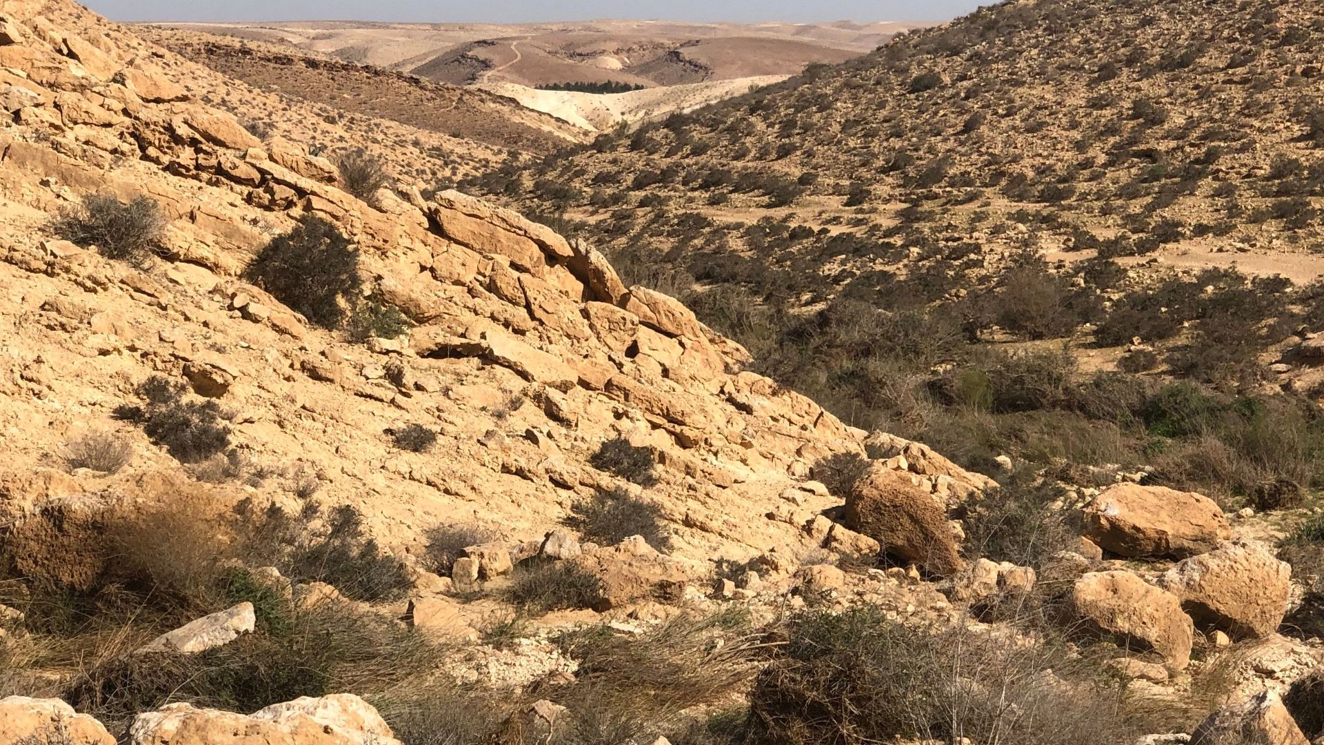 Breathtaking view of an arid desert landscape with rolling hills and rocks under a clear blue sky.