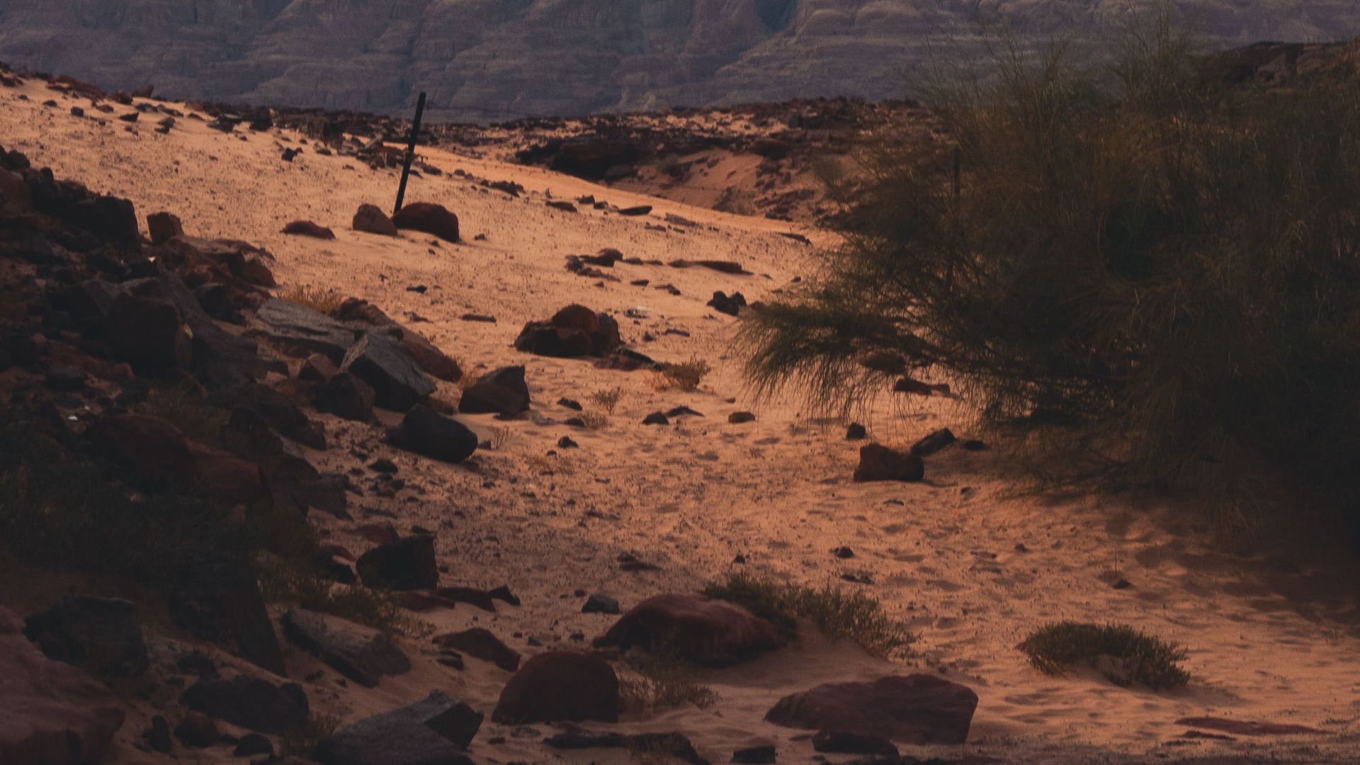 Explore a vast desert landscape featuring striking rock formations under a moody sky.