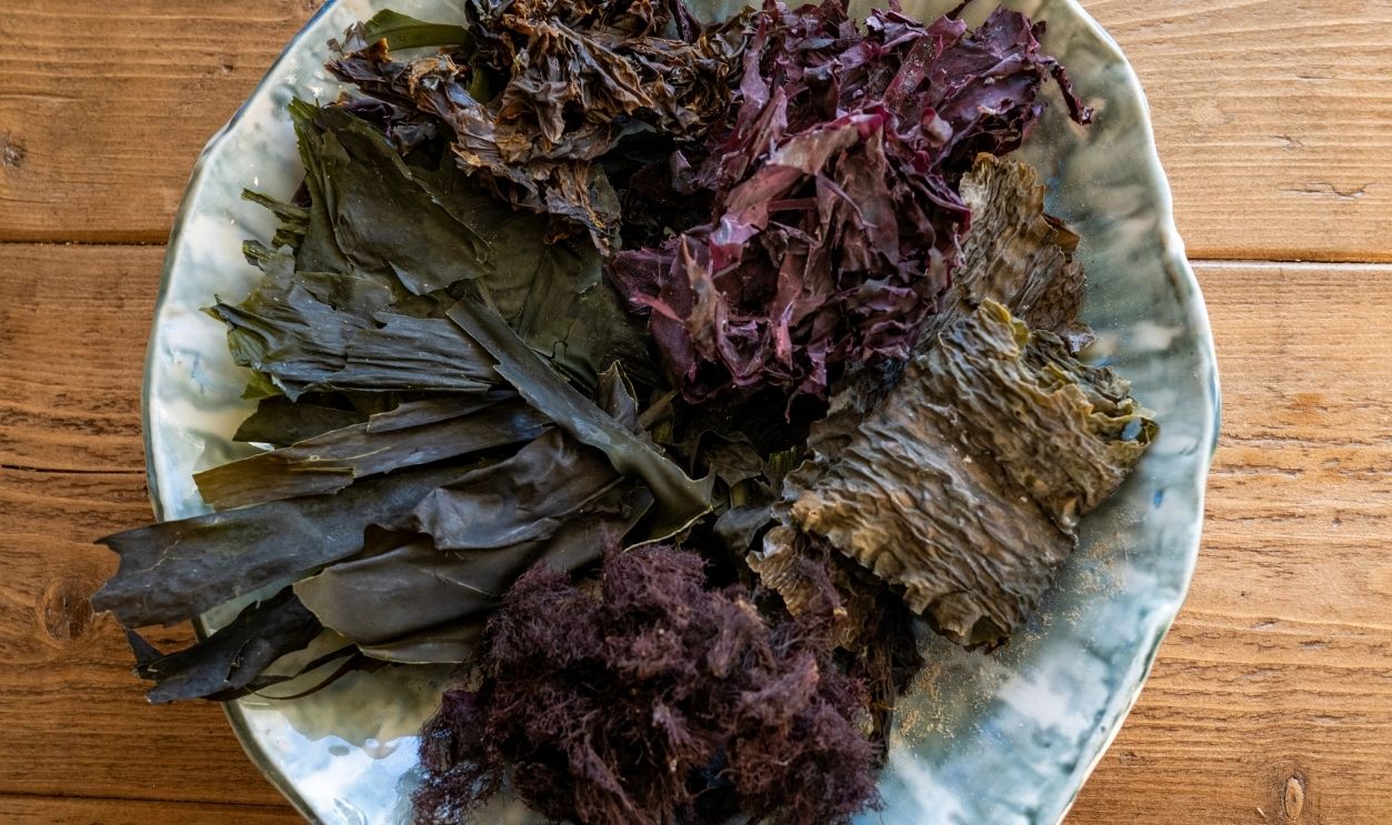 Dulse