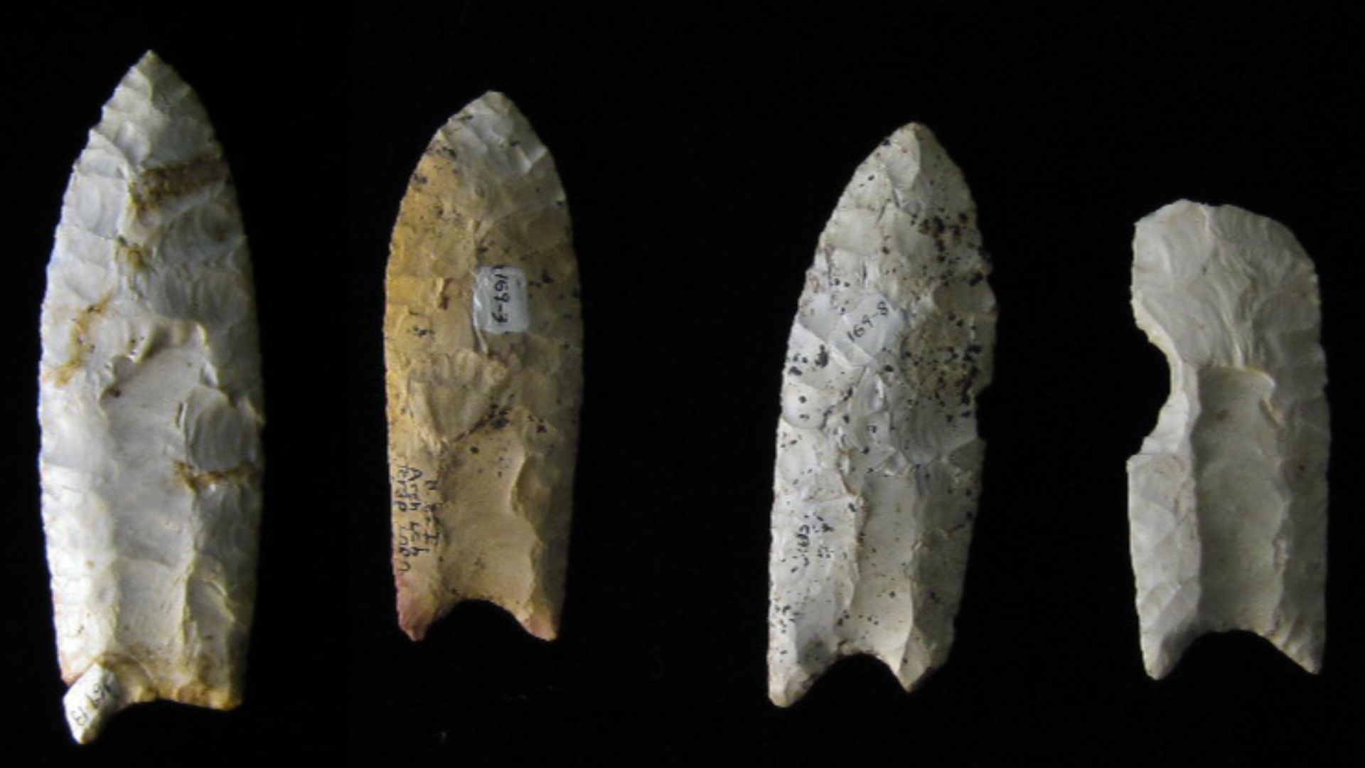 Clovis points from the Rummells-Maske Site, 13CD15, Cedar County, Iowa, These are from the Iowa Office of the State Archaeologist collection.