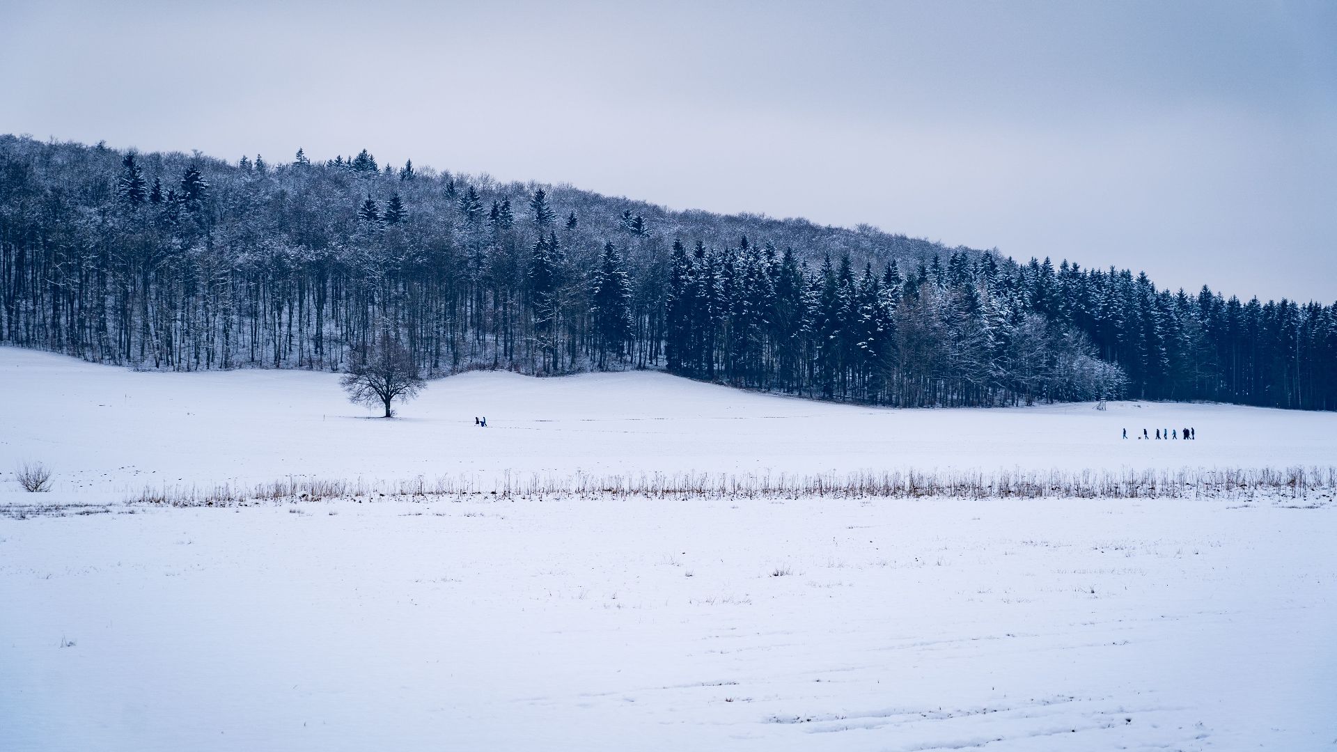 A tranquil snow-covered landscape in Lenningen, Germany featuring a snowy field and distant hikers.