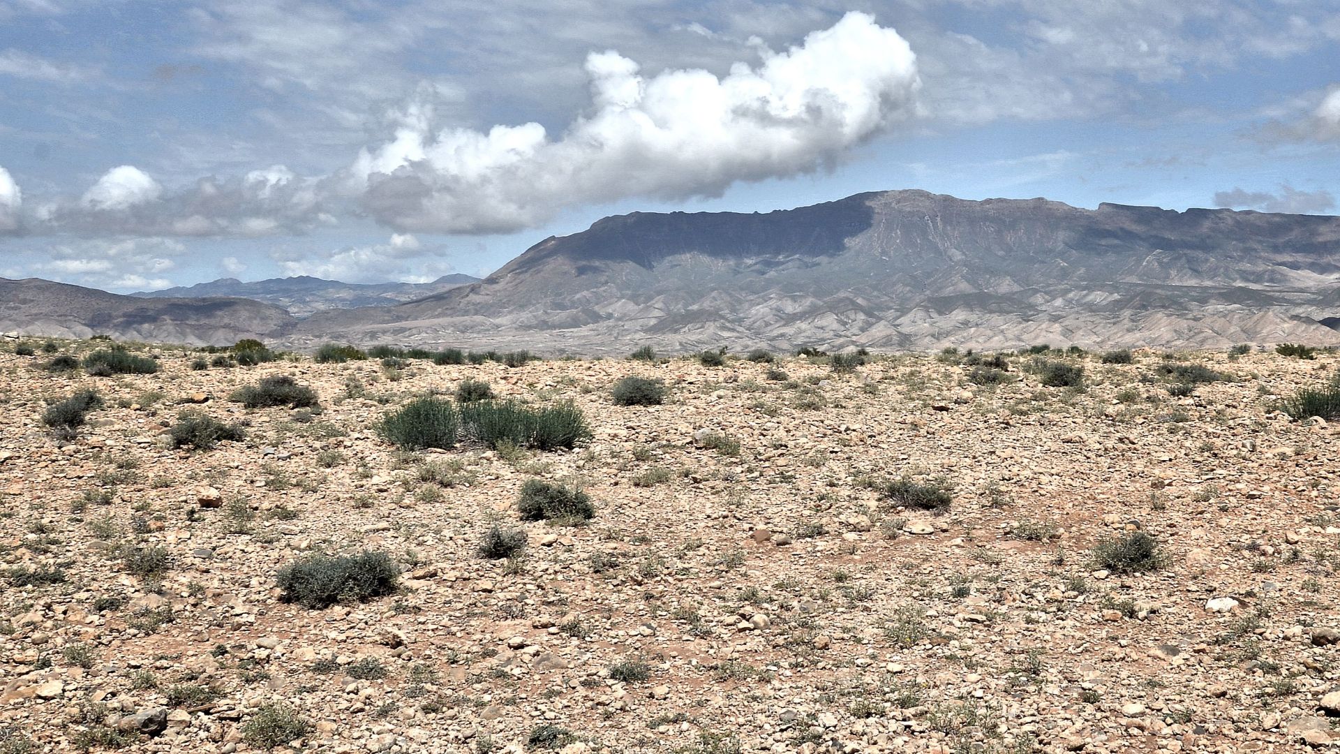 Expansive desert scene in Guercif, with rocky terrain and mountainous backdrop under a clear blue sky.