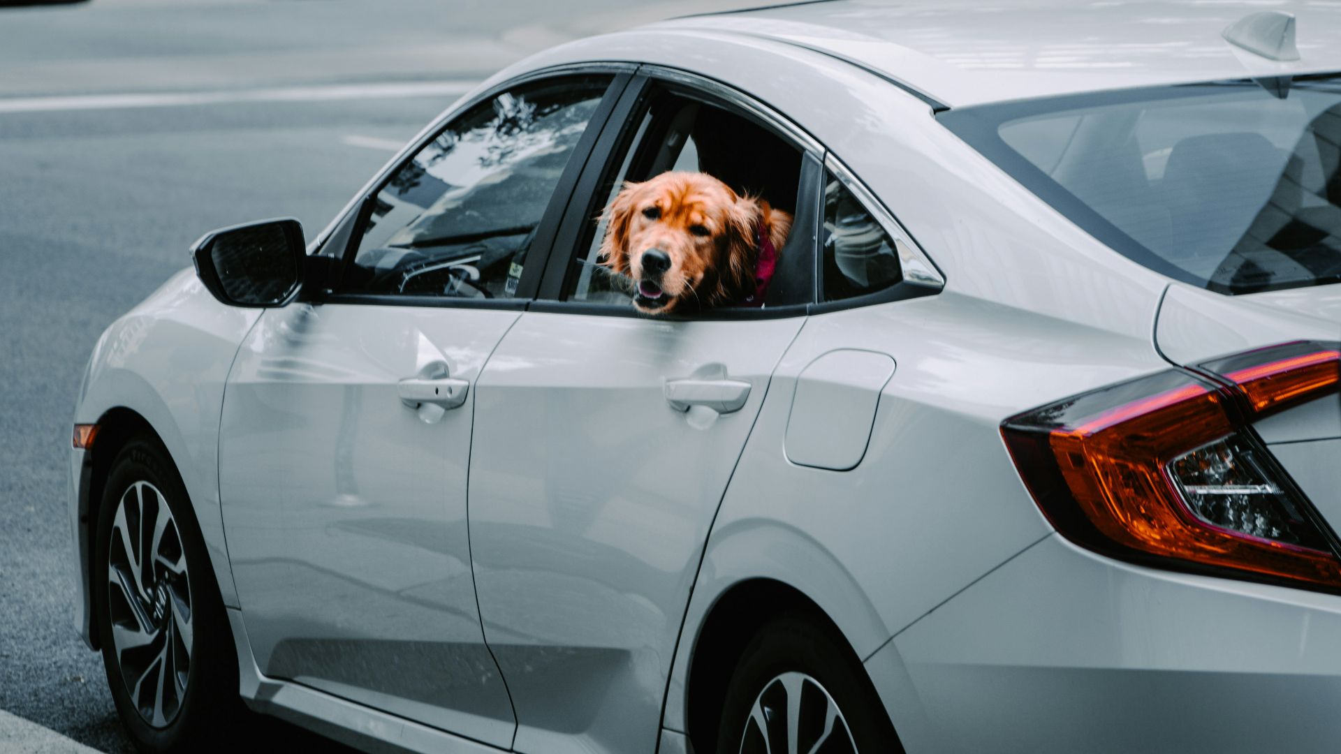 white sedan on road during daytime