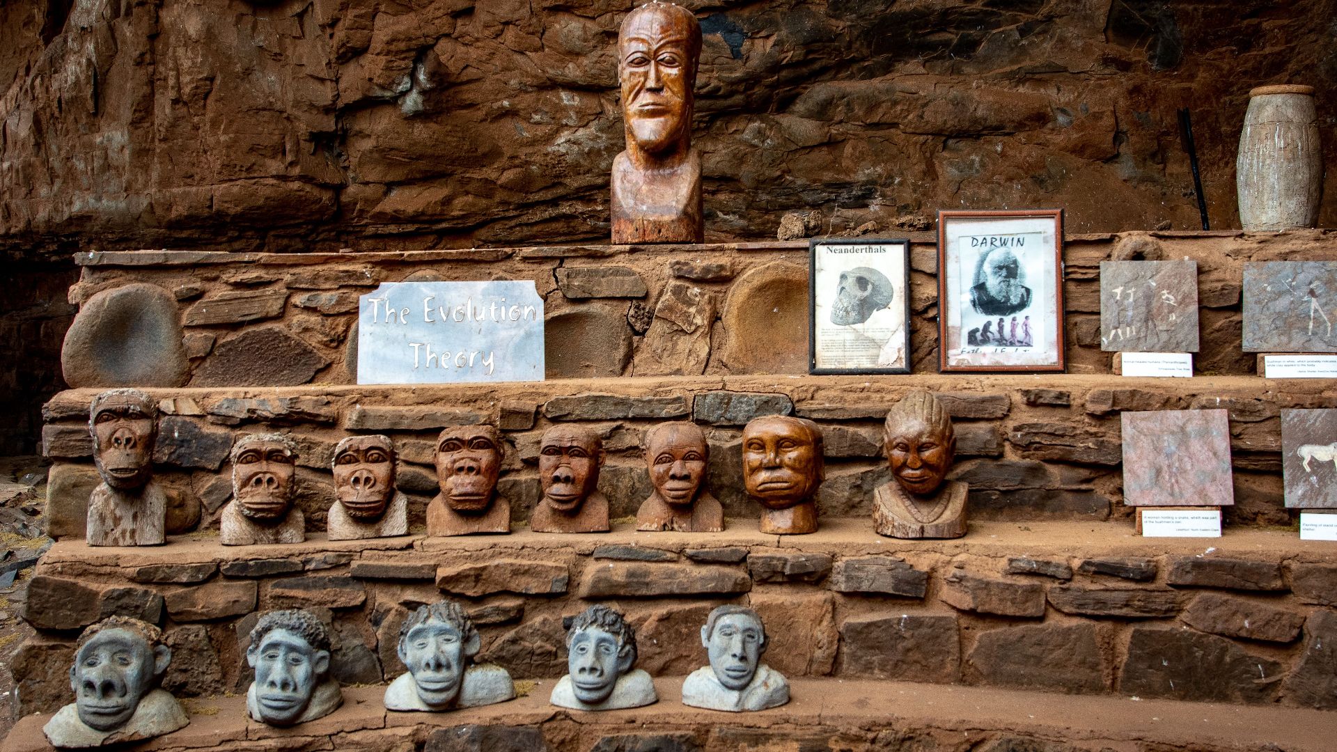 Stone carvings representing the theory of evolution, displayed in an outdoor setting.