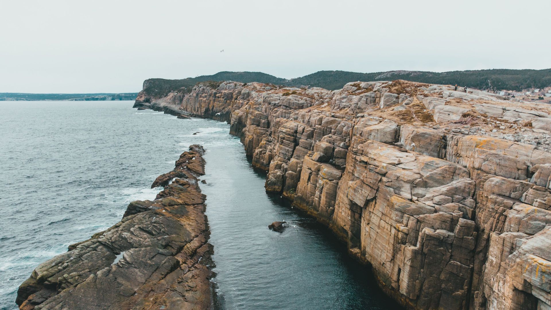 Breathtaking aerial view of rugged cliffs edging a vast ocean under a clear sky.