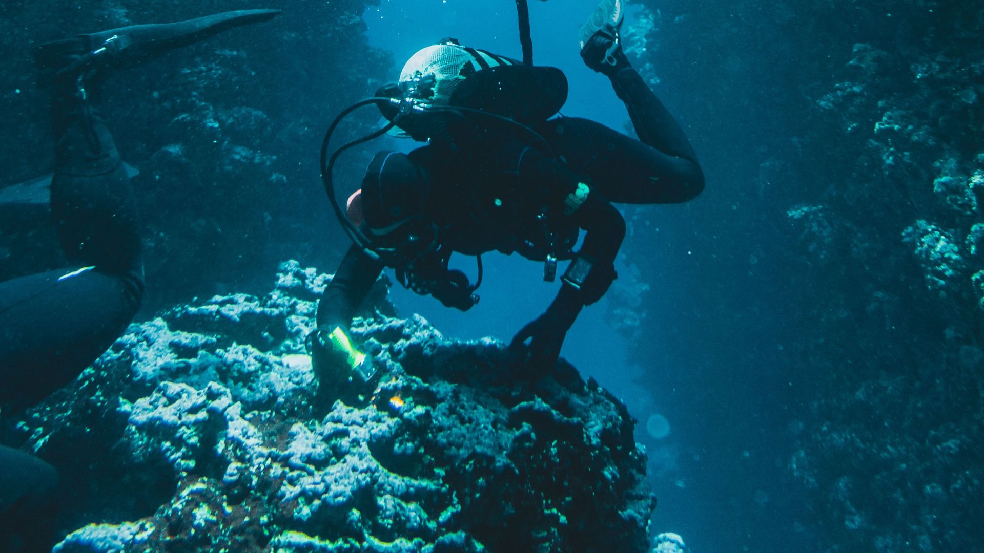 Scuba divers exploring a vibrant coral reef canyon, filled with marine life and bubbles.