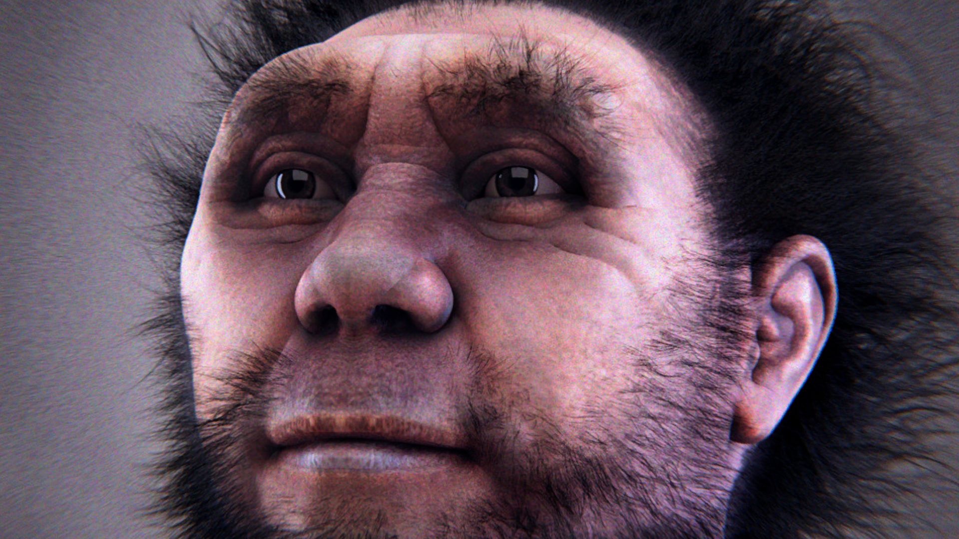 Reconstrução facial de um Homo erectus pekinensis.
Cicero Moraes et alii (Luca Bezzi, Nicola Carrara, Telmo Pievani).