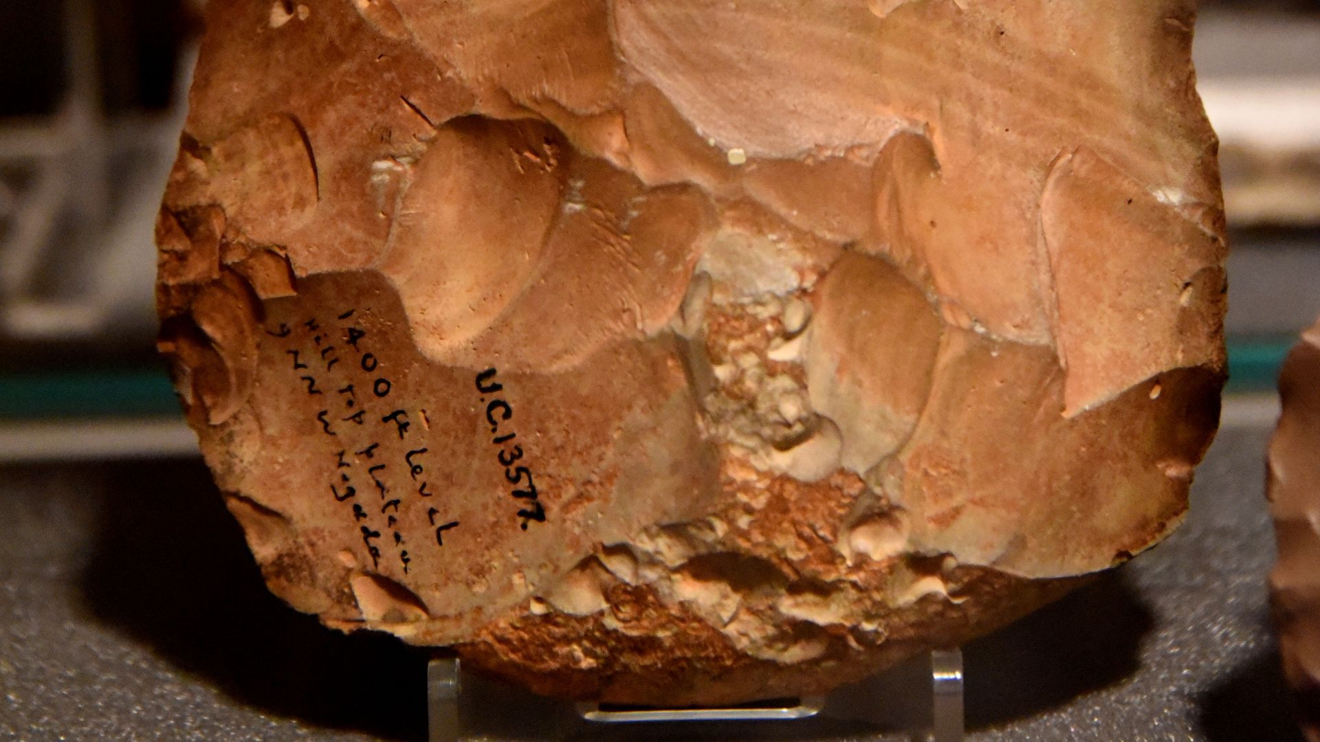Acheulean hand-axe from Egypt. Note the English words on the left lower part of this axe. Found on a hill-top plateau, 1400 feet above sea level, 9 miles NNW of the city of Naqada, Egypt. Paleolithic. The Petrie Museum of Egyptian Archaeology, London. Wit